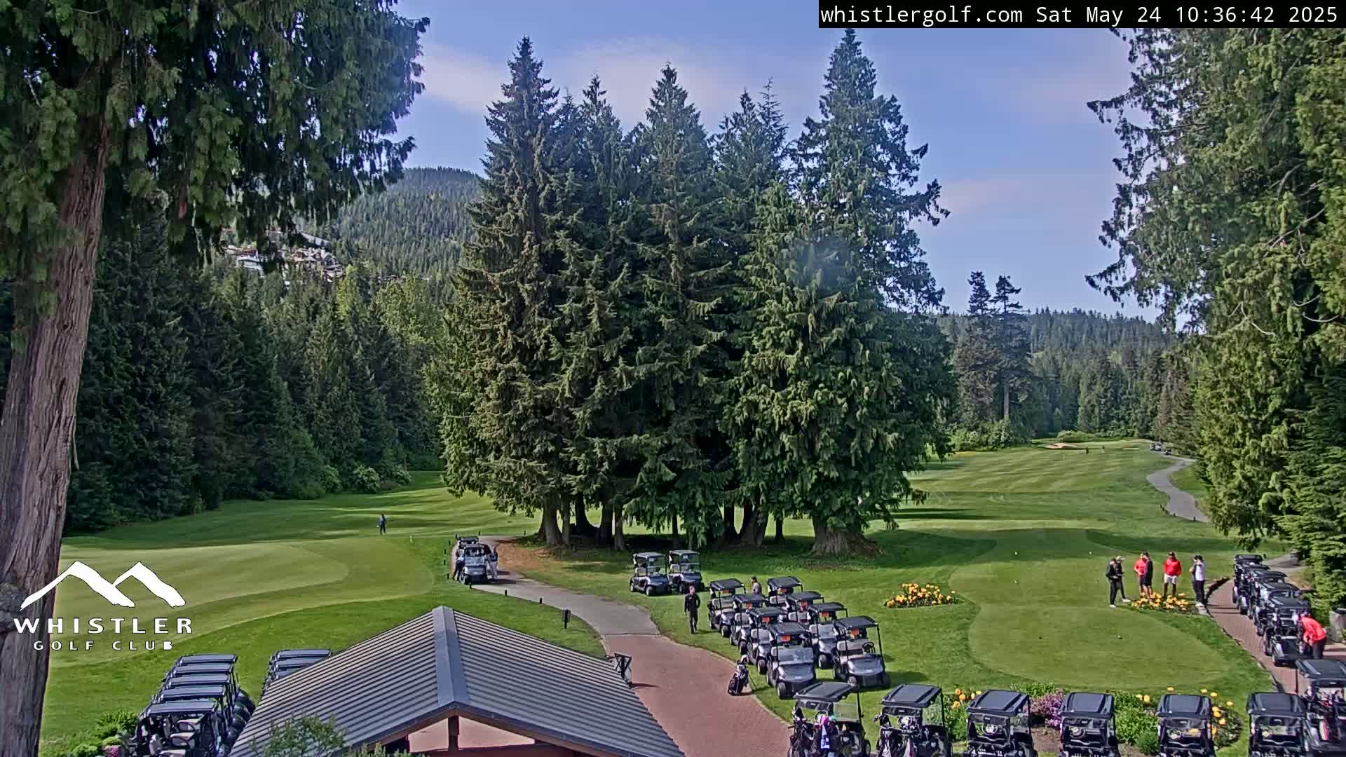 A golf course with numerous golf carts parked near a clubhouse, surrounded by lush green fairways and tall evergreen trees under a mostly sunny sky.