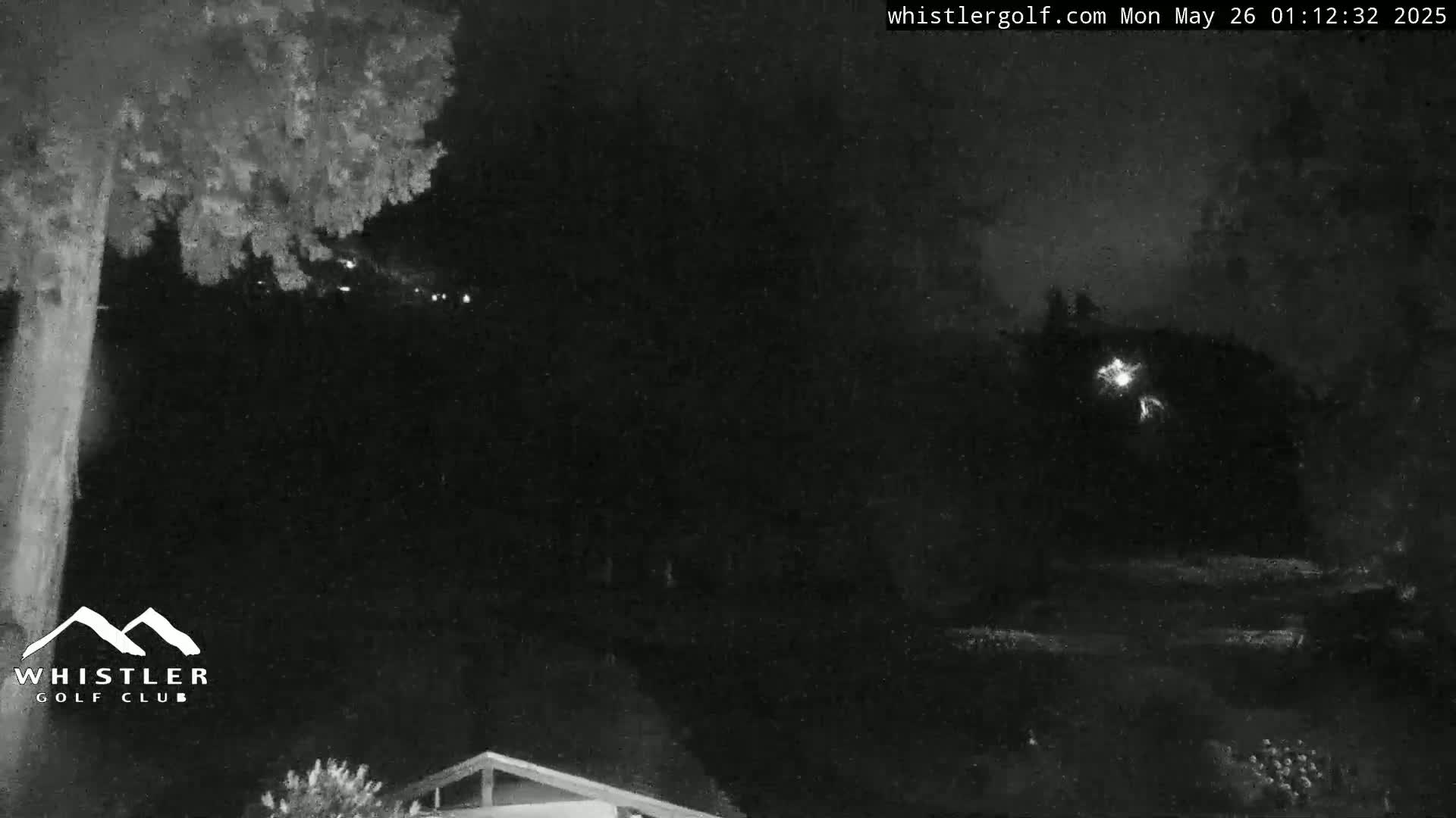 A nighttime, low-light image shows a tree to the left, a dark landscape in the center and right, and a small building at the very bottom right.