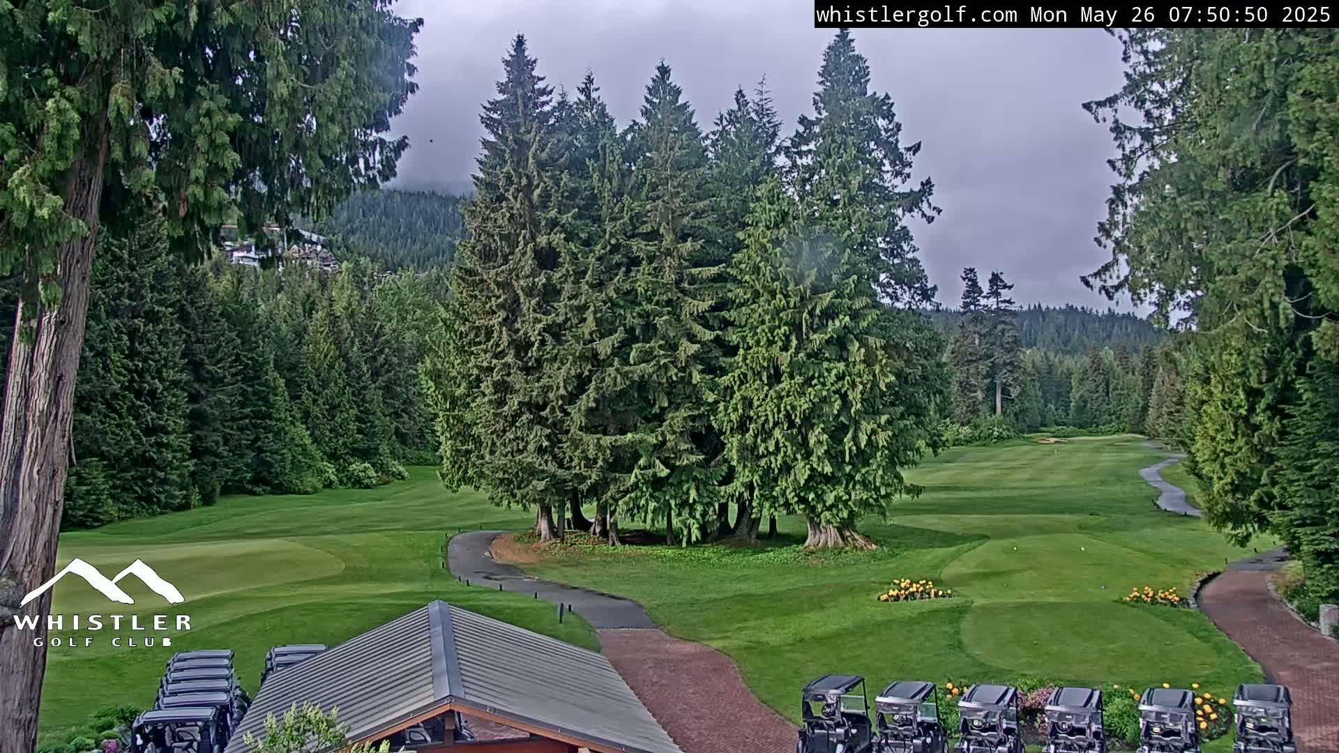 A golf course nestled among evergreen trees on an overcast day.