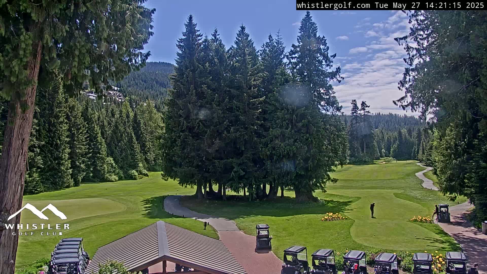 A sunny golf course nestled among tall evergreen trees, with golf carts parked near a building.