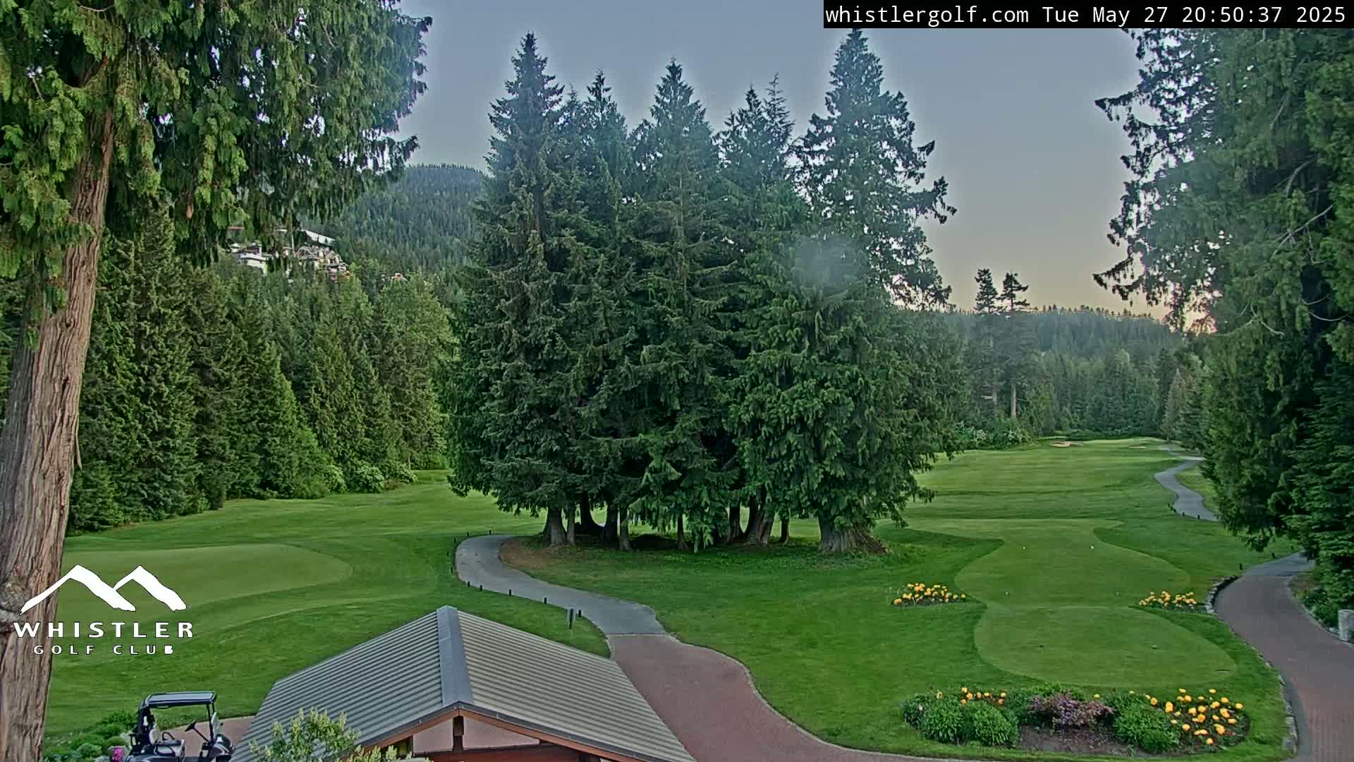 A golf course, nestled in a forest of evergreen trees under a twilight sky, features a winding paved pathway.