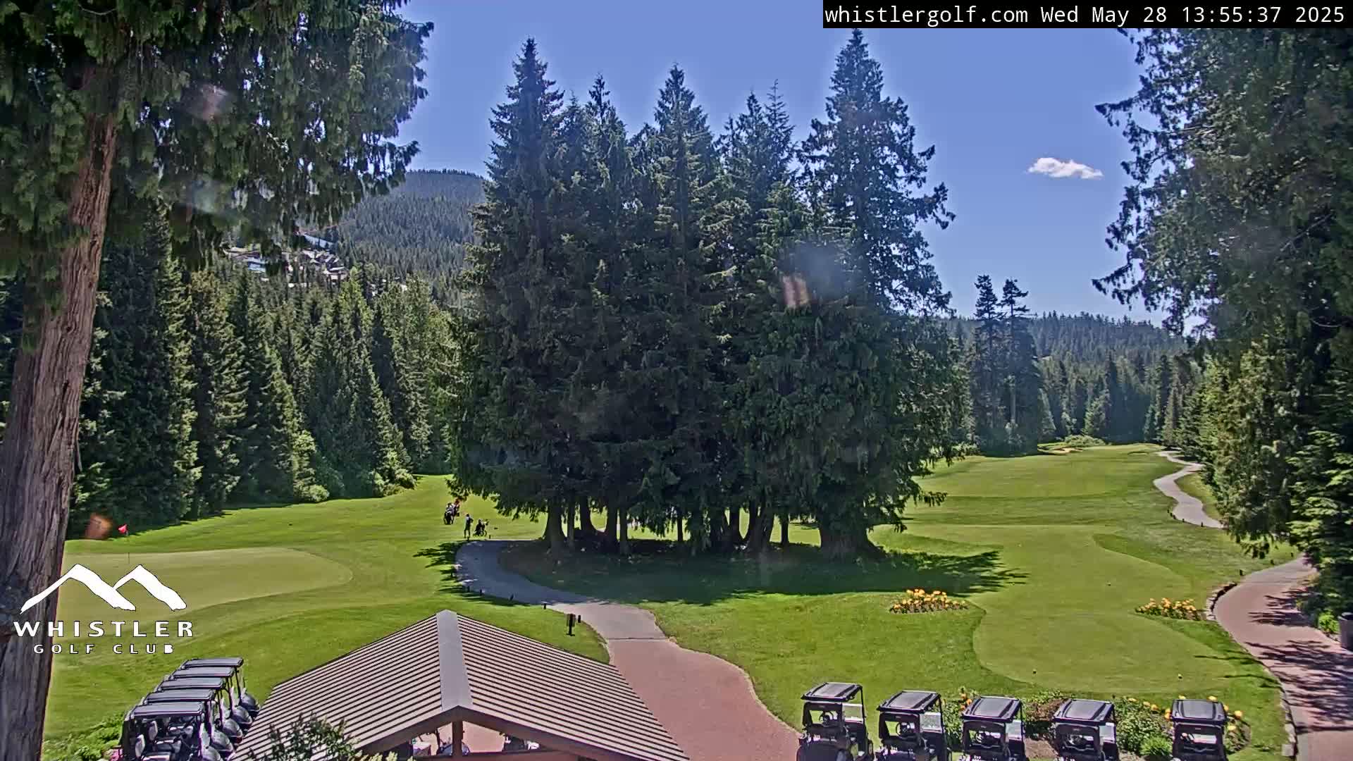 A sunny golf course nestled in a lush evergreen forest, with several golf carts parked near a building.