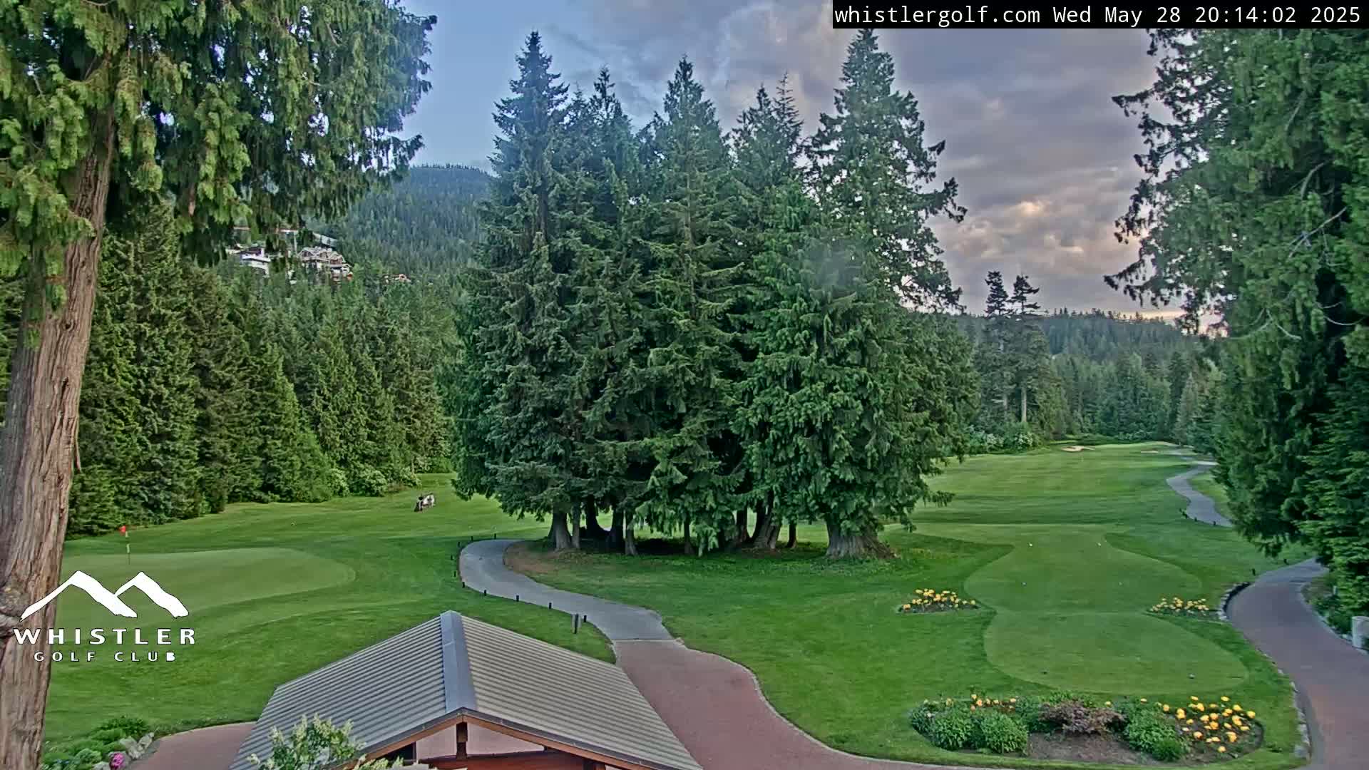 A golf course with a winding paved path, nestled among lush evergreen trees under a partly cloudy evening sky.