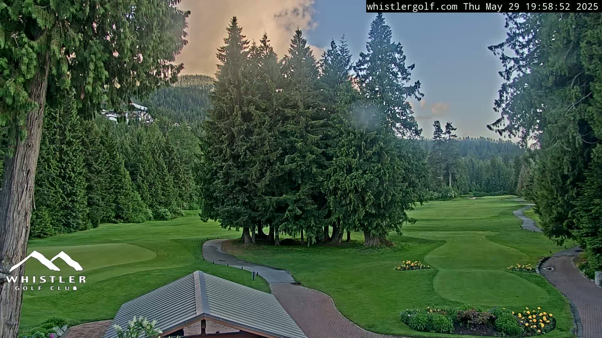 A golf course nestled in a forest of evergreen trees under a partly cloudy evening sky.