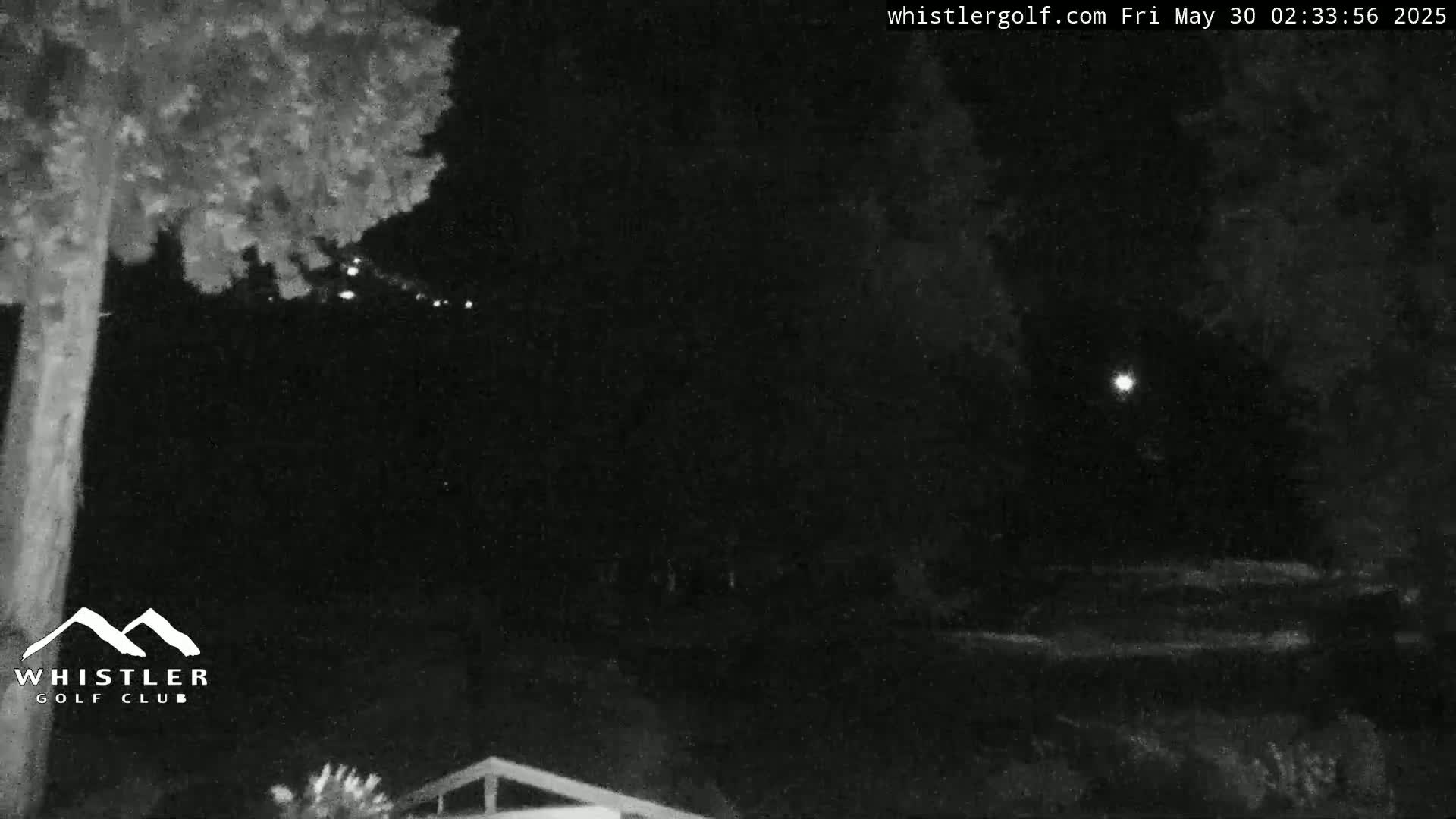 A nighttime, low-light outdoor scene shows a tree partially obscuring a view of a moonlit landscape.