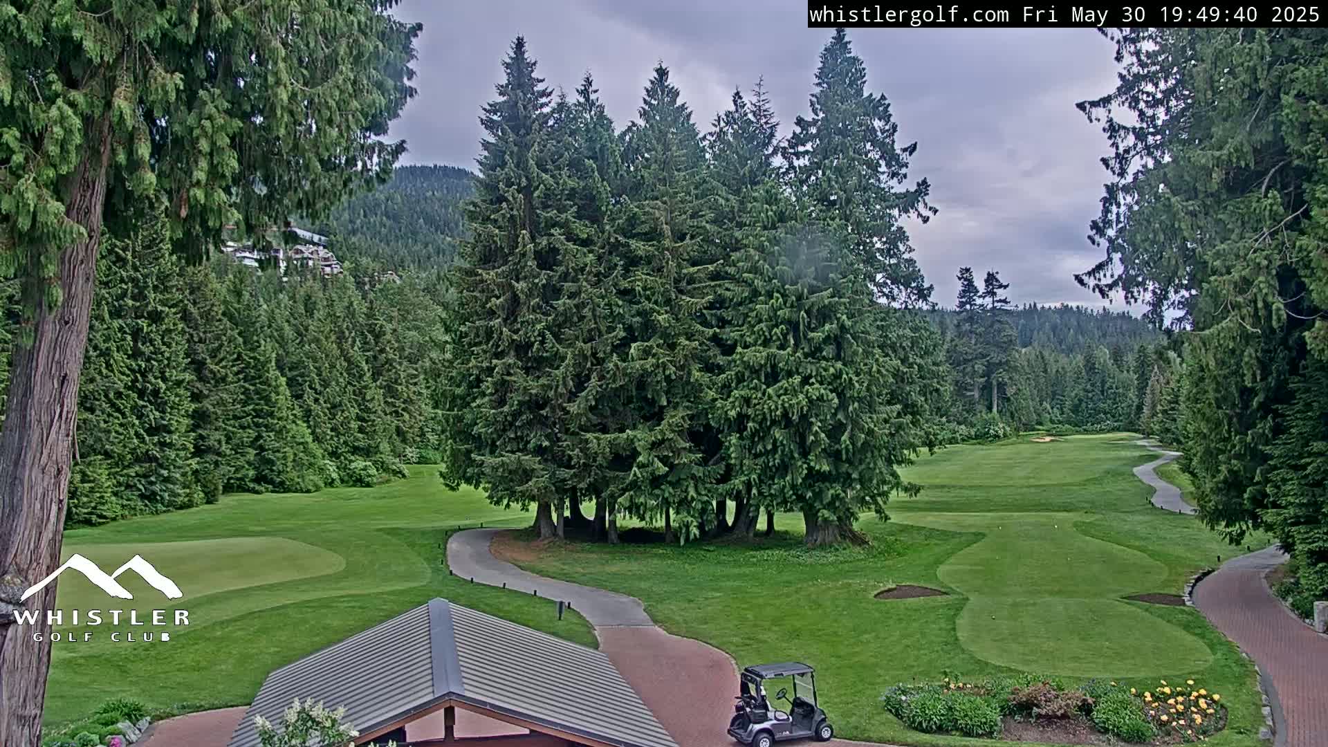 A golf course nestled in a lush green forest under a cloudy sky, with a golf cart visible on the fairway.
