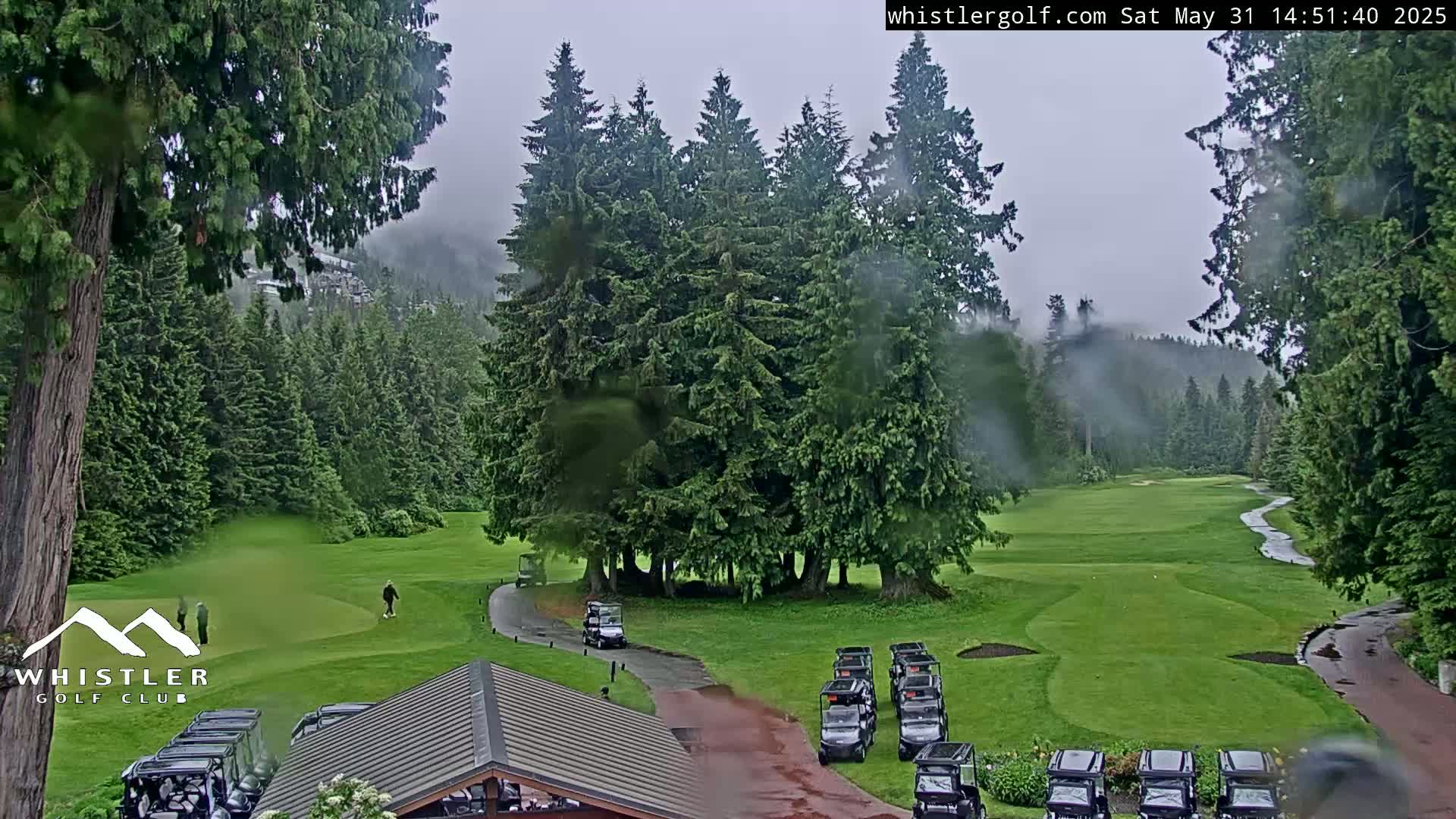 A rain-soaked golf course nestled among tall evergreen trees under an overcast sky.