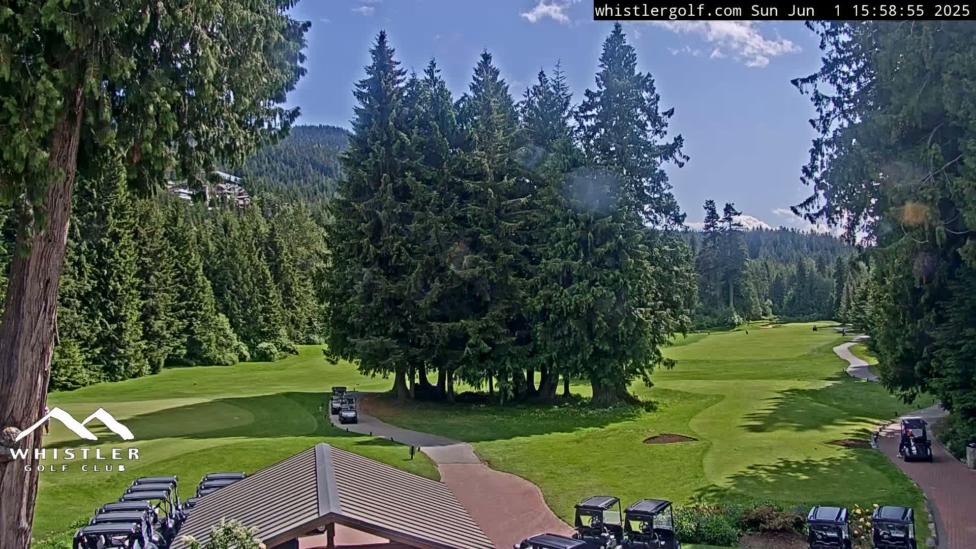 A sunny golf course nestled among tall evergreen trees, with golf carts parked near a building.