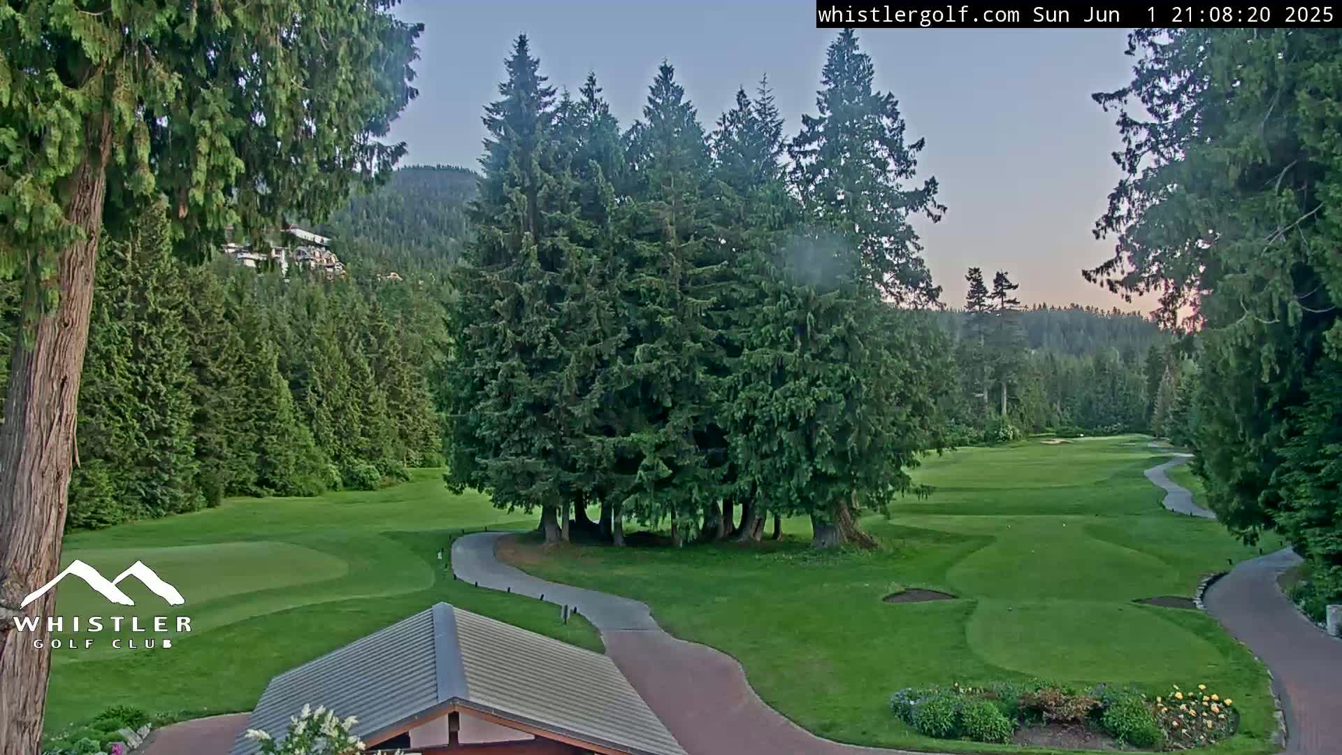 A golf course nestled in a forest of evergreen trees under a twilight sky.