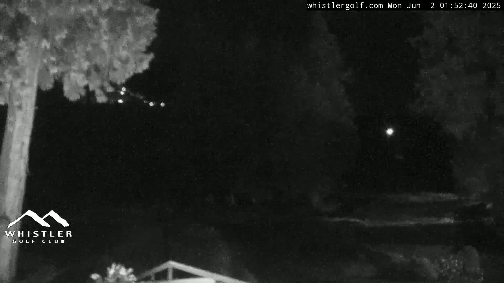 A nighttime, low-light view of trees and a partially visible structure, with a few distant lights visible in the dark sky.