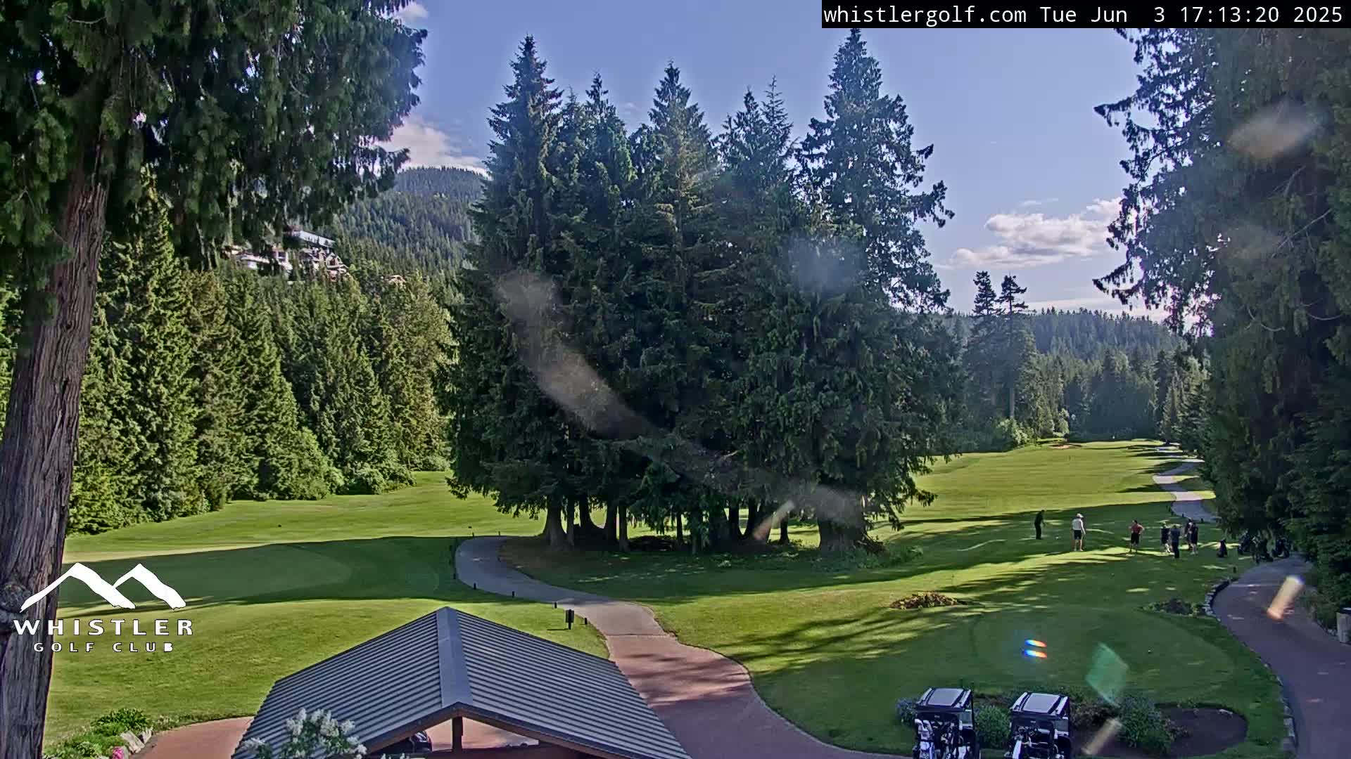 A sunny golf course nestled among tall evergreen trees and mountains.