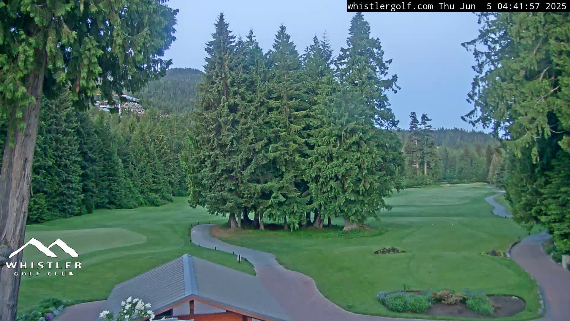 A golf course nestled among lush evergreens under a clear, twilight sky.