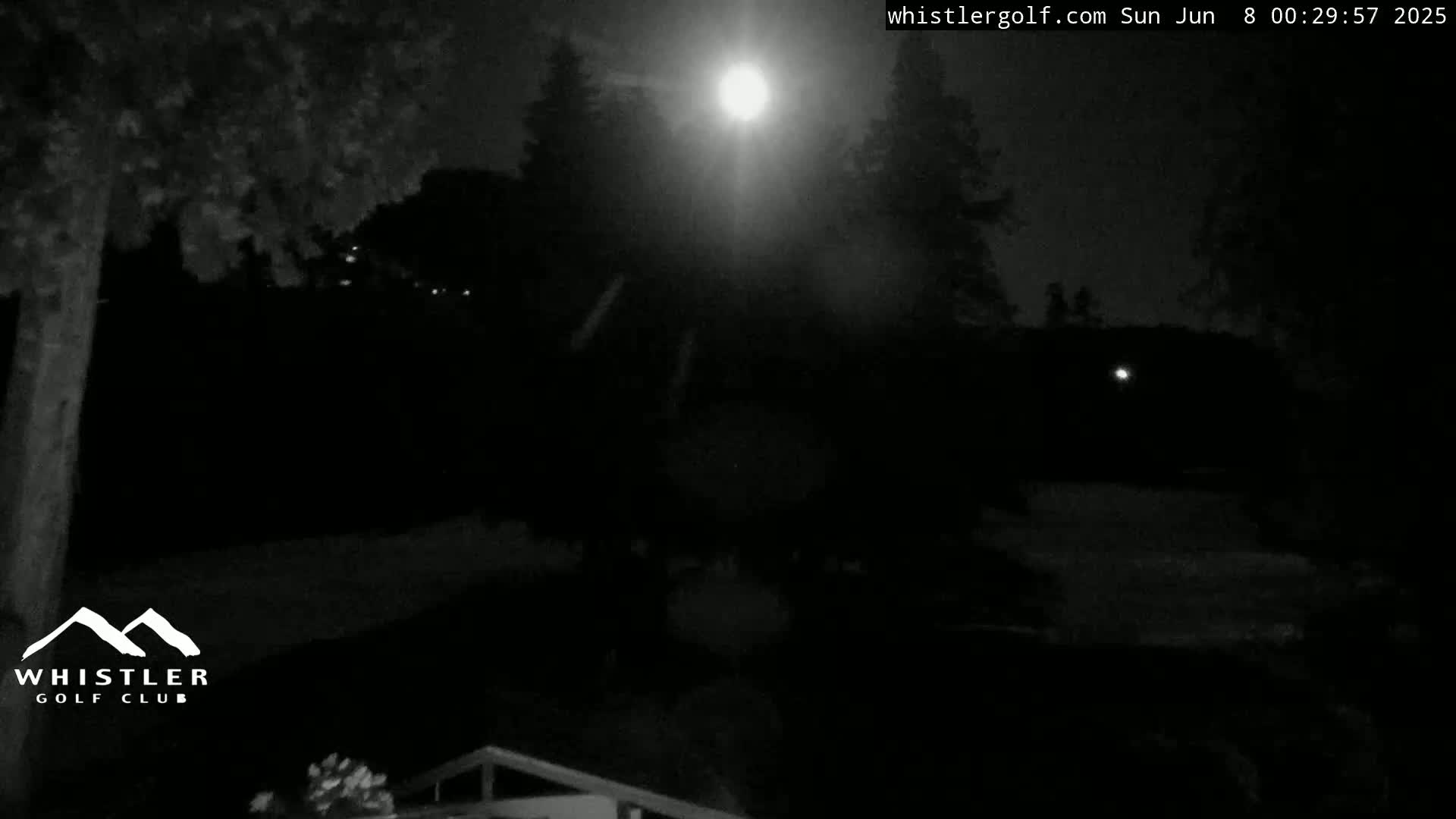 A bright moon illuminates a dark, nighttime scene of trees and a grassy area.