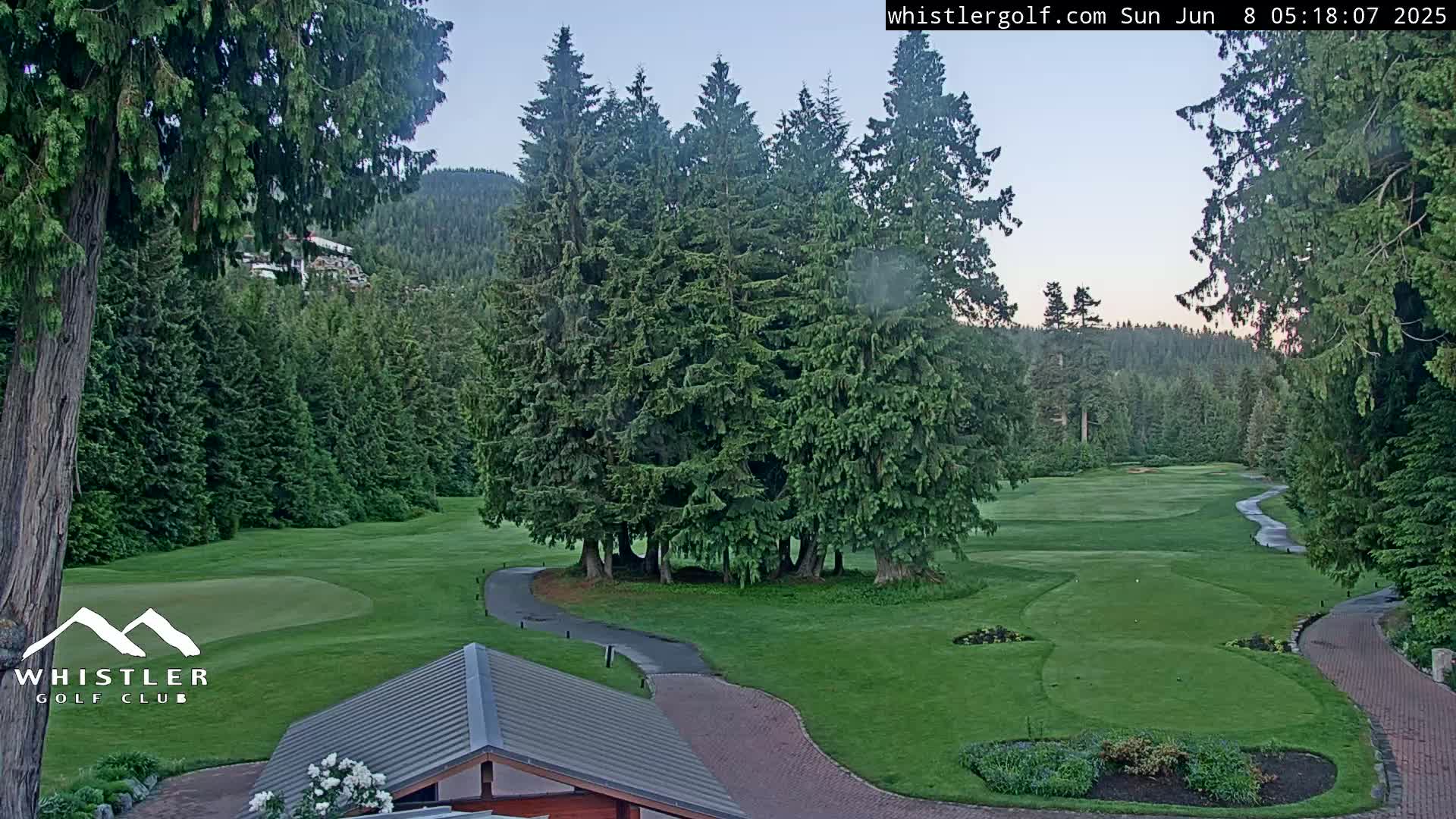 A golf course with a winding path, surrounded by lush evergreen trees under a clear, twilight sky.