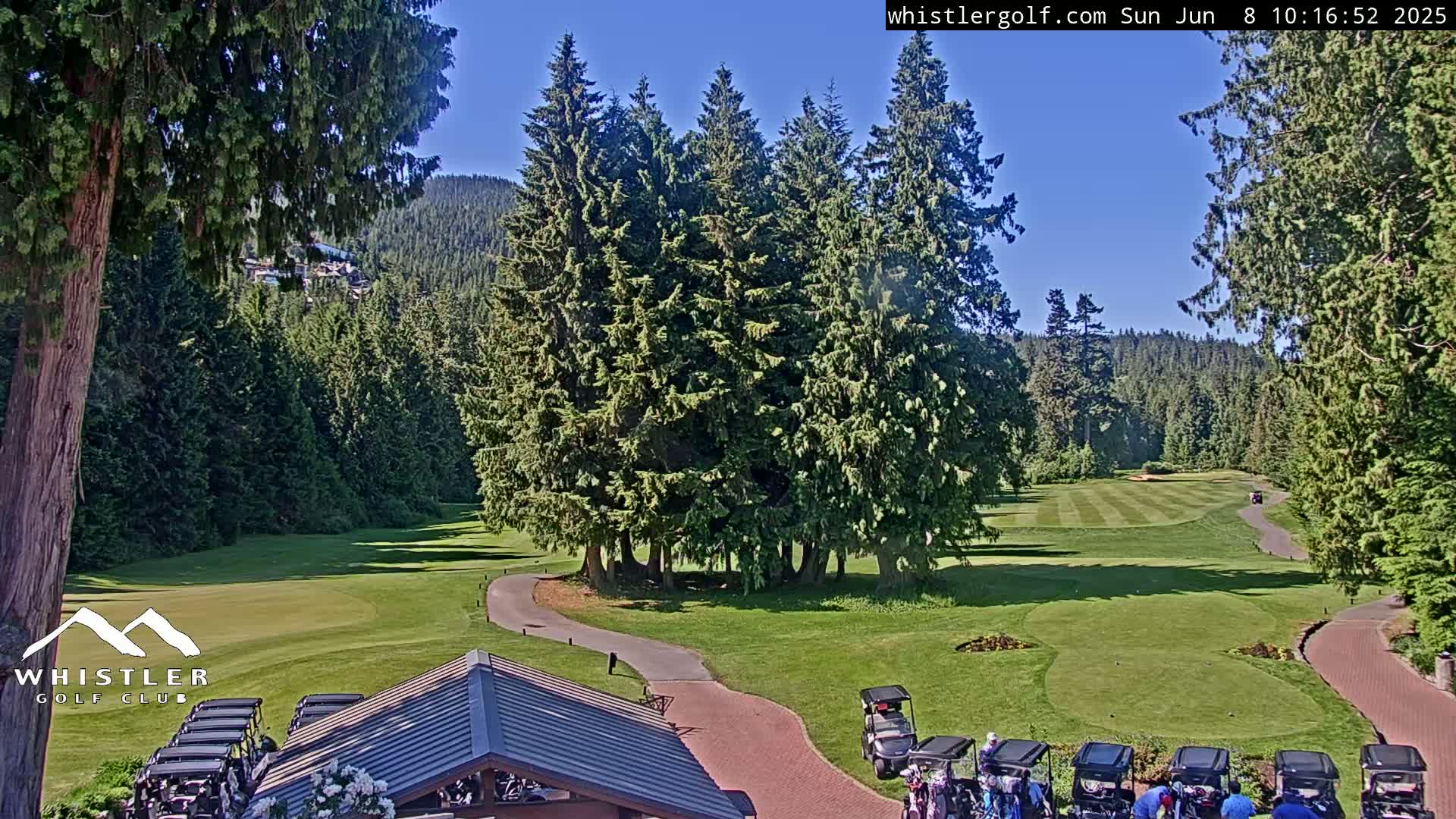 A sunny day at a golf course nestled among lush evergreen trees and mountains.