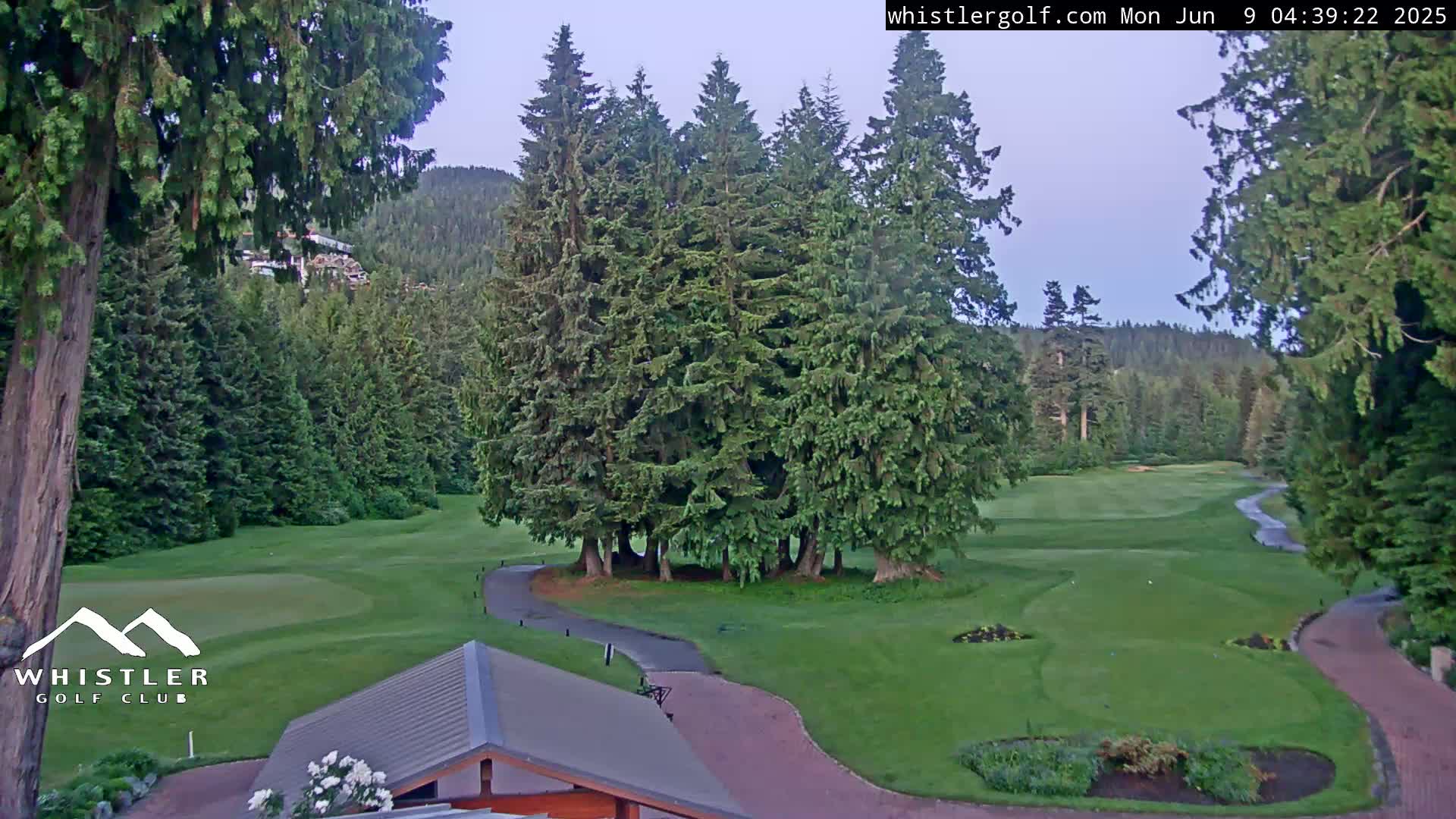A golf course, surrounded by lush evergreen trees under a clear, twilight sky, shows a winding paved path leading to a cluster of tall evergreens in the middle of a green fairway.