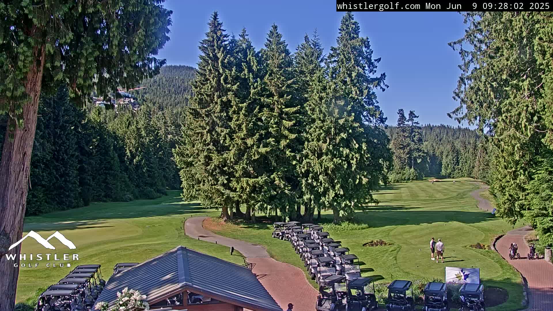 A sunny day at a golf course shows a green fairway, numerous golf carts parked near a clubhouse, and several people playing golf amidst tall evergreen trees.