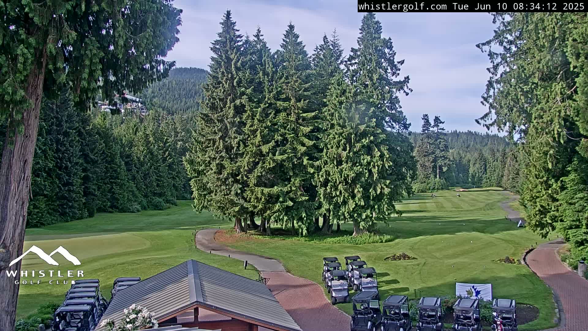 A golf course with a group of golf carts parked near a clubhouse, surrounded by lush green fairways and tall evergreen trees under a partly cloudy sky.