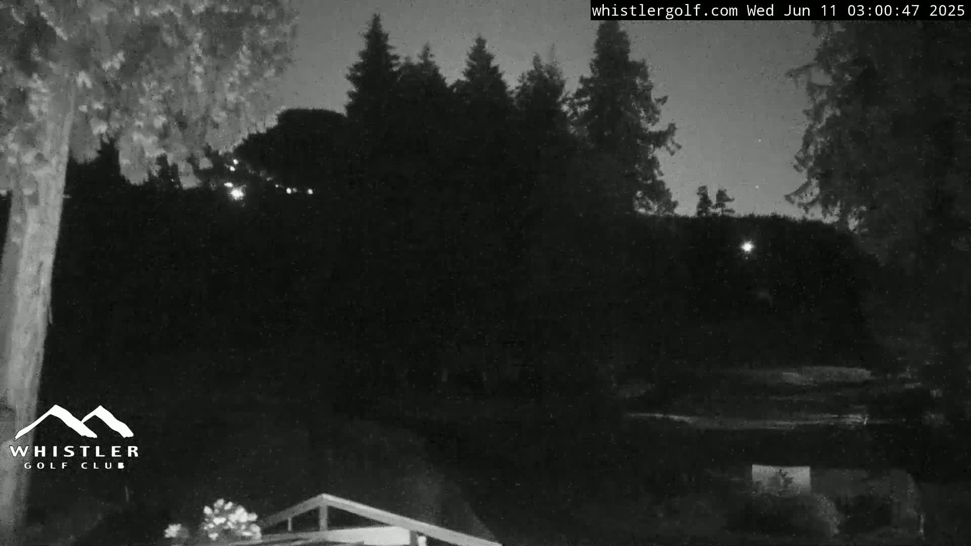 A nighttime, low-light view of a dark, wooded area with a few distant lights visible.