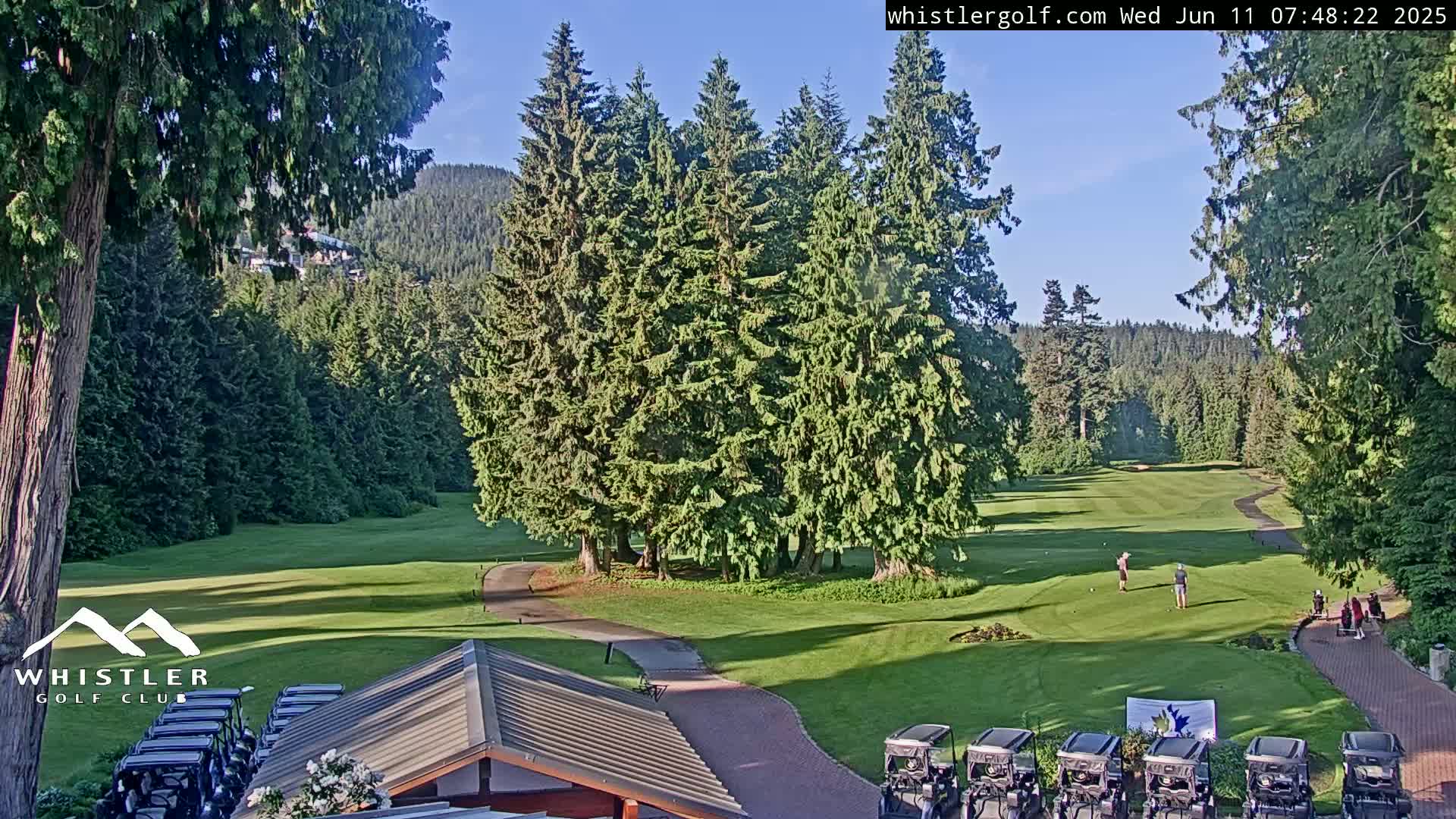 A sunny view of a golf course nestled in a forest of tall evergreen trees, with a few golfers visible on the green and golf carts parked near a building.