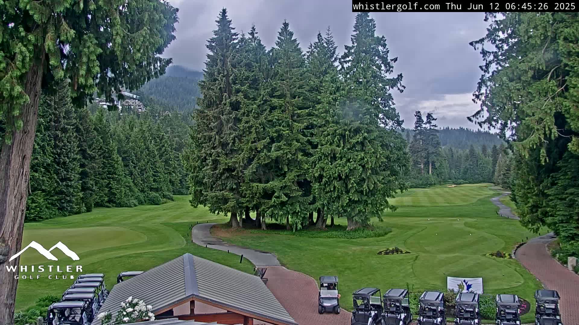 A golf course nestled in a forest of evergreen trees under an overcast sky, with several golf carts parked near a building.