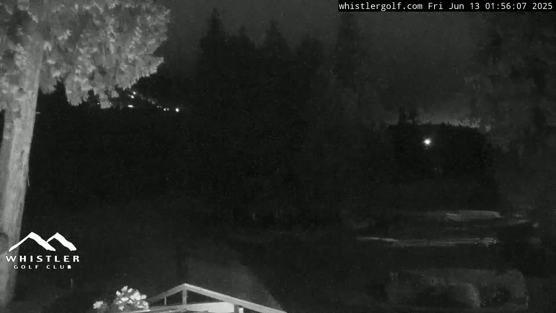 A nighttime, low-light image shows dark trees and a partially visible structure under a dark sky.