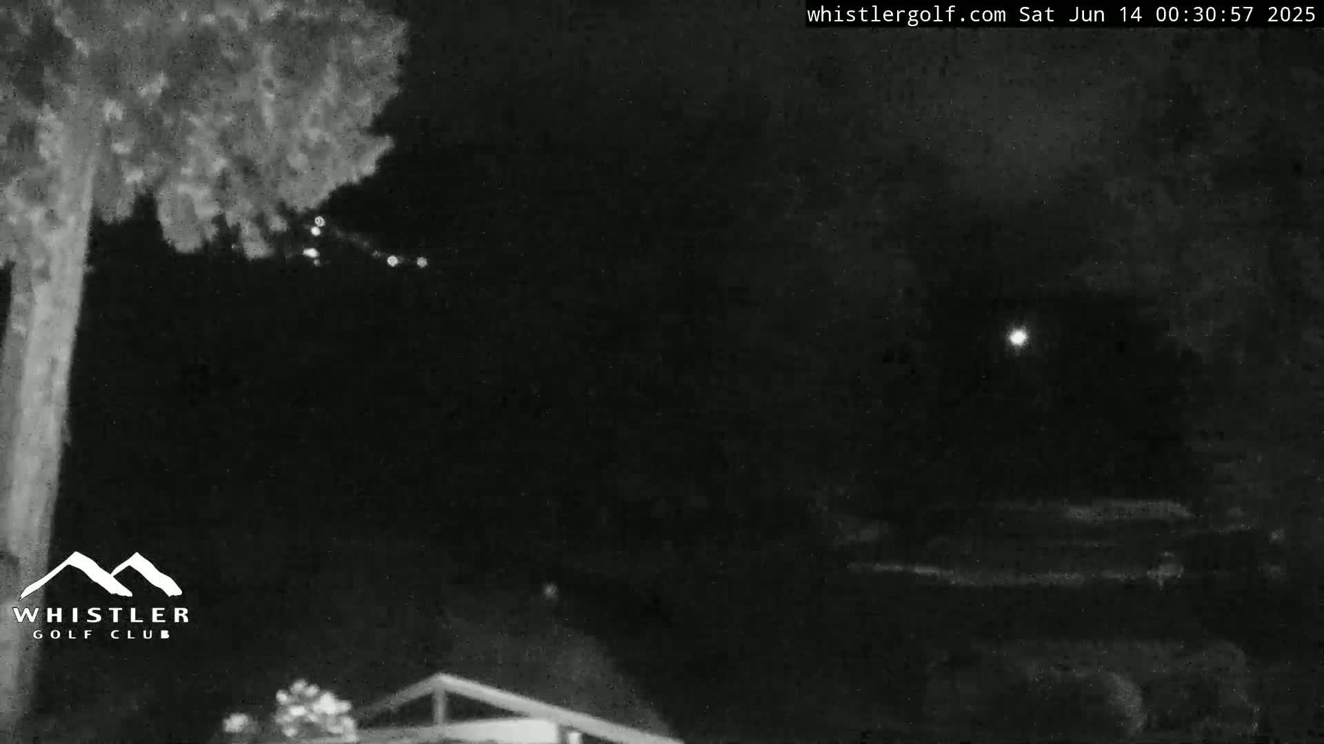 A nighttime, low-light outdoor scene shows a tree trunk to the left, some distant lights, and a bright light possibly the moon in the upper right, with dark foliage and a building in the lower right corner.