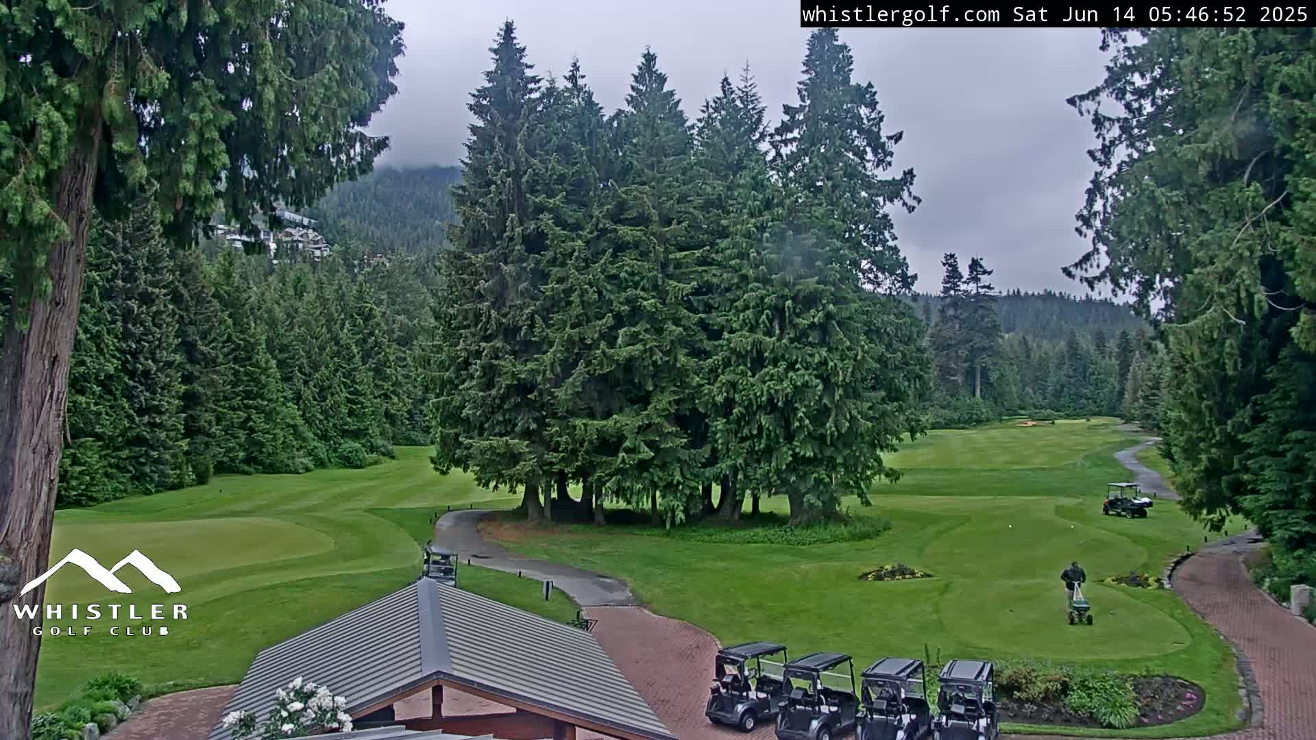 A golf course with several golf carts, a person tending the green, and a cluster of evergreen trees under an overcast sky.