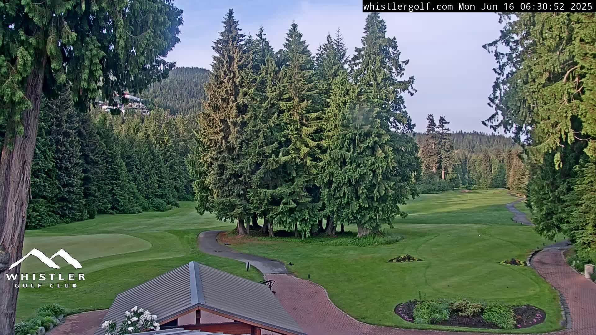 A golf course nestled among evergreen trees under a clear sky.