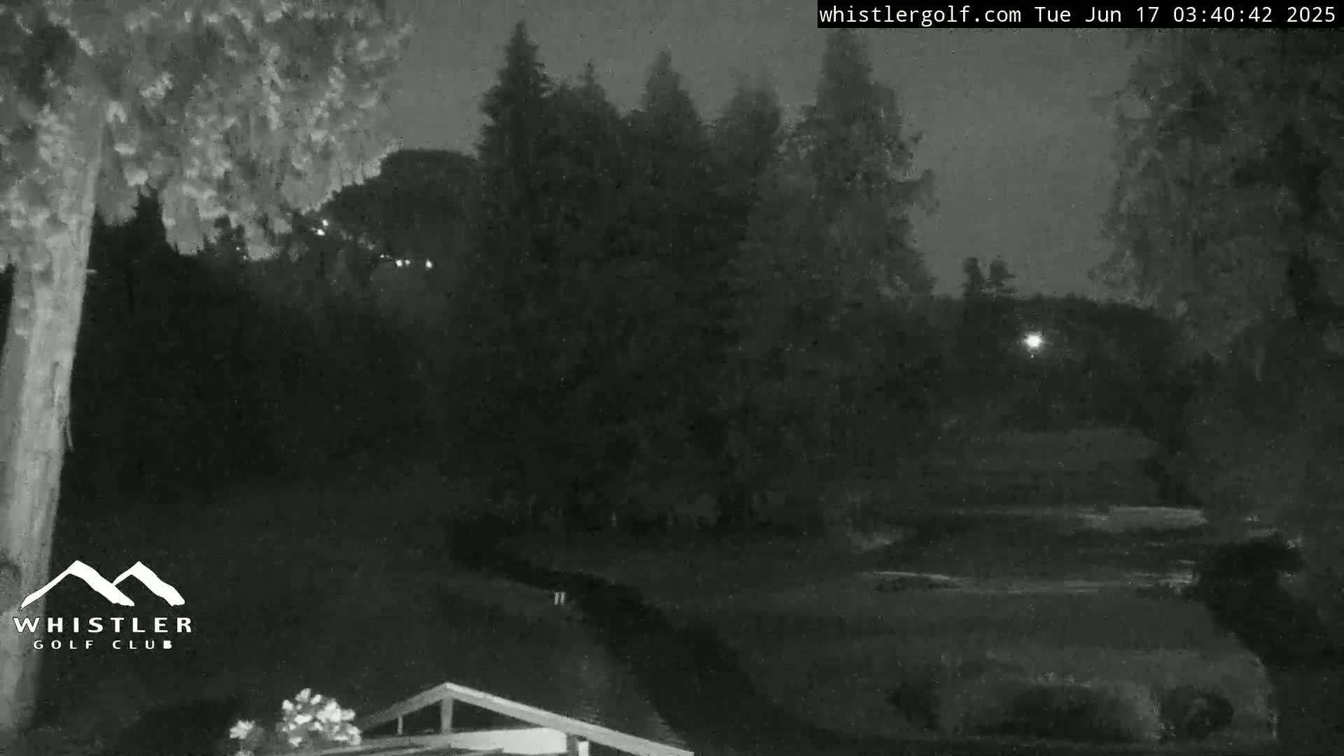 A nighttime, low-light view of a dark, wooded area with a small stream or waterway visible, possibly a golf course.