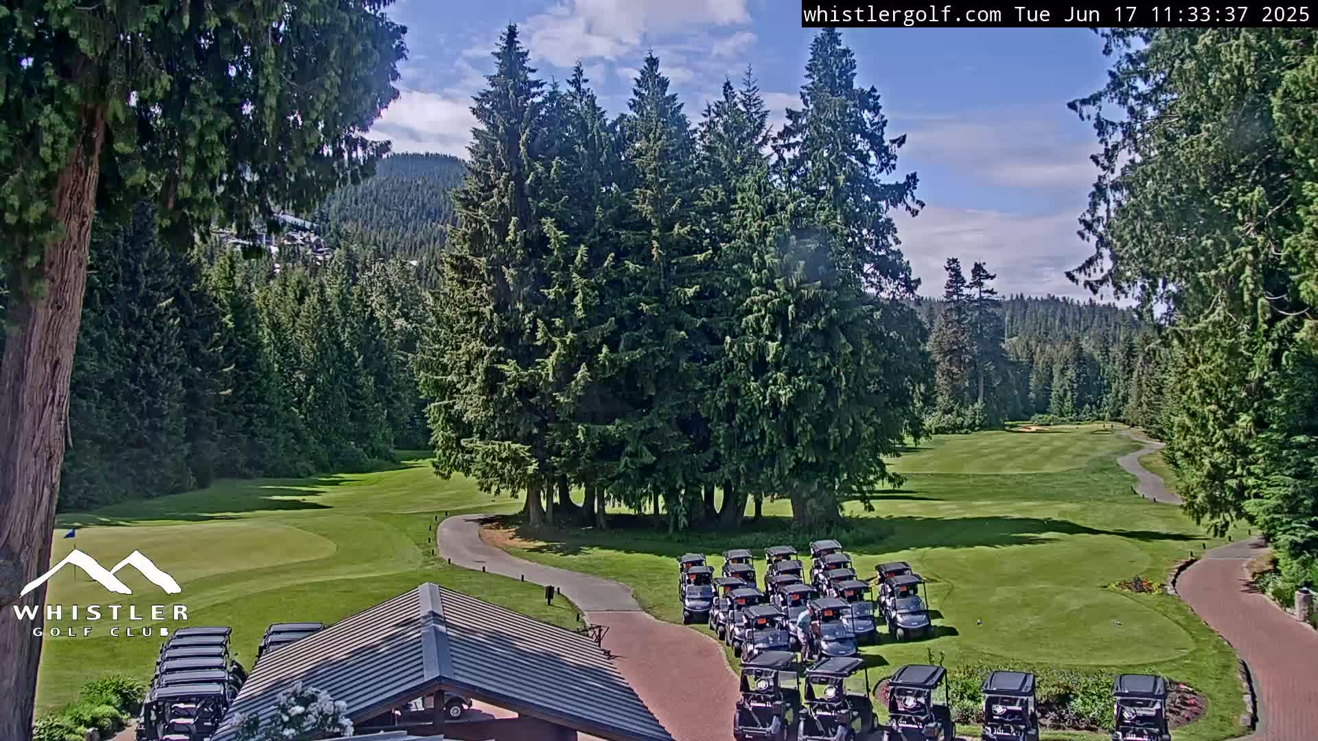 A sunny golf course with numerous golf carts parked near a clubhouse, surrounded by lush green trees and a distant mountain range.