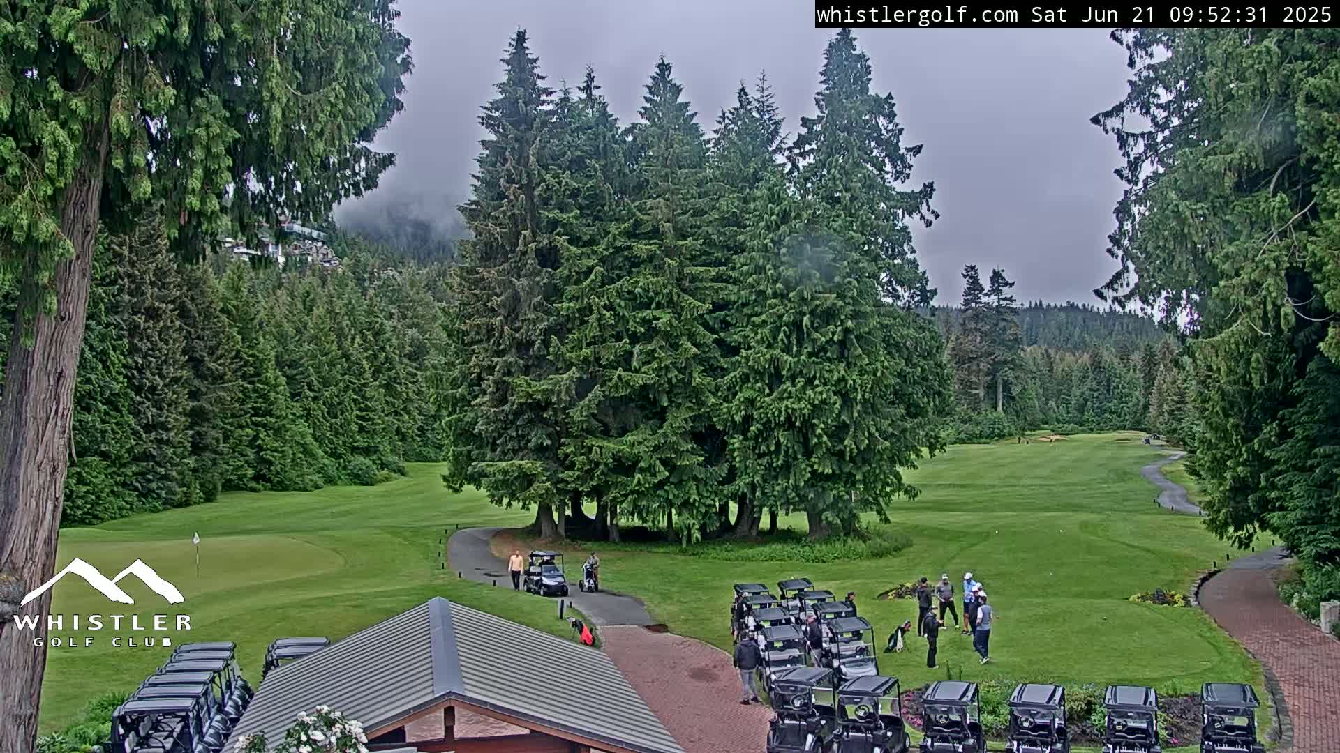 A golf course with several people and golf carts, surrounded by evergreen trees under an overcast sky.