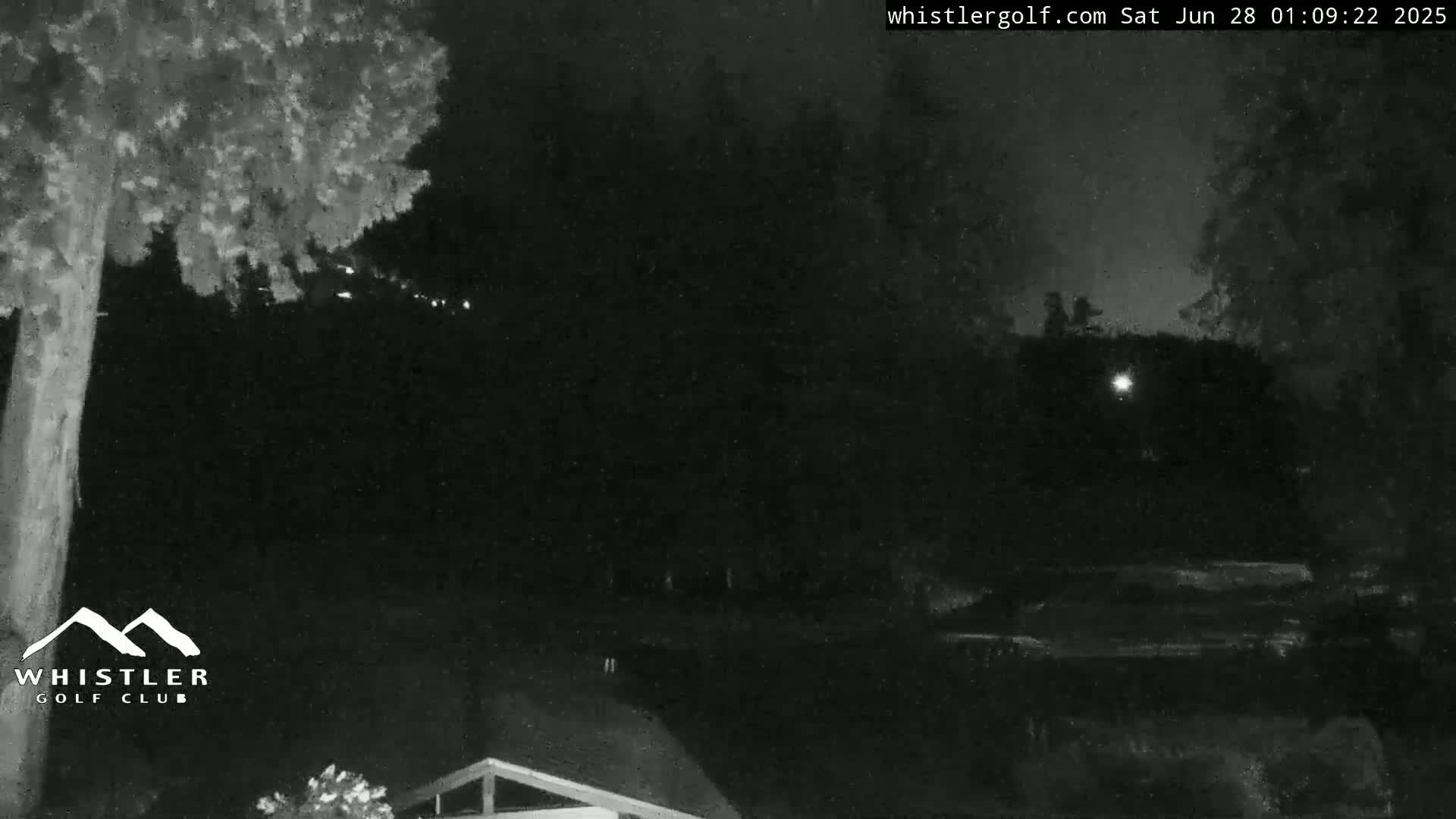 A nighttime, low-light view shows dark trees and a small part of a building under a dark sky.
