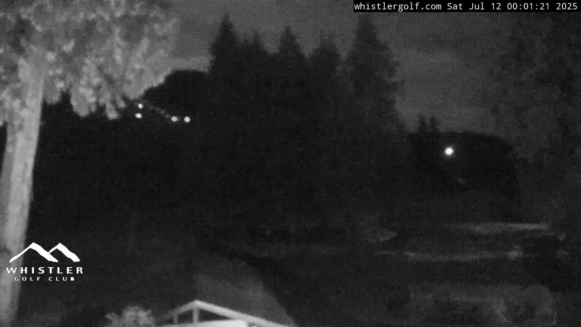 A nighttime, low-light image shows dark trees and a building, with a few distant lights visible.