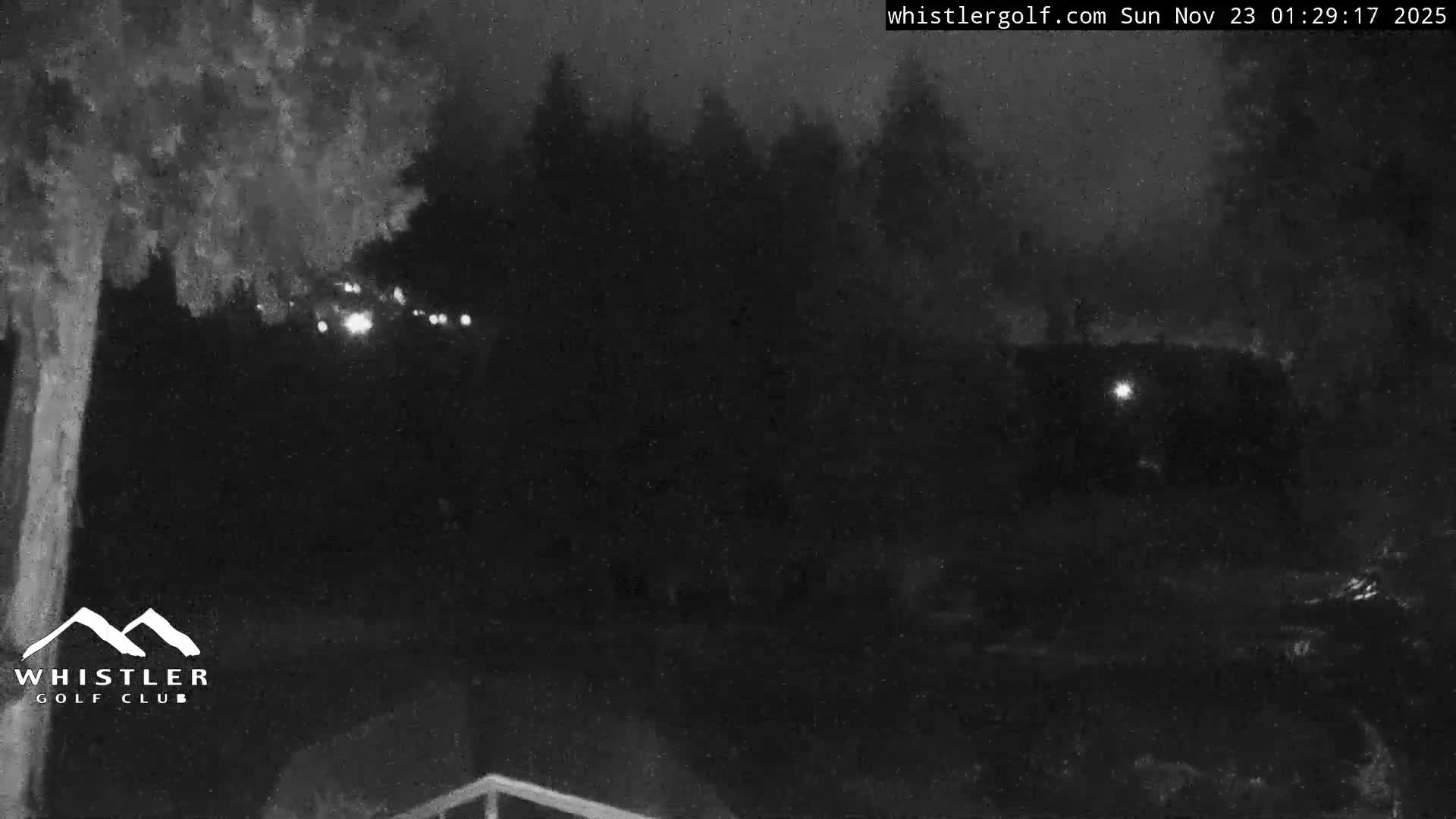 A grainy, monochrome night-vision view captures an outdoor area featuring silhouetted trees and several diffused artificial lights, with a hazy atmosphere suggesting active precipitation.