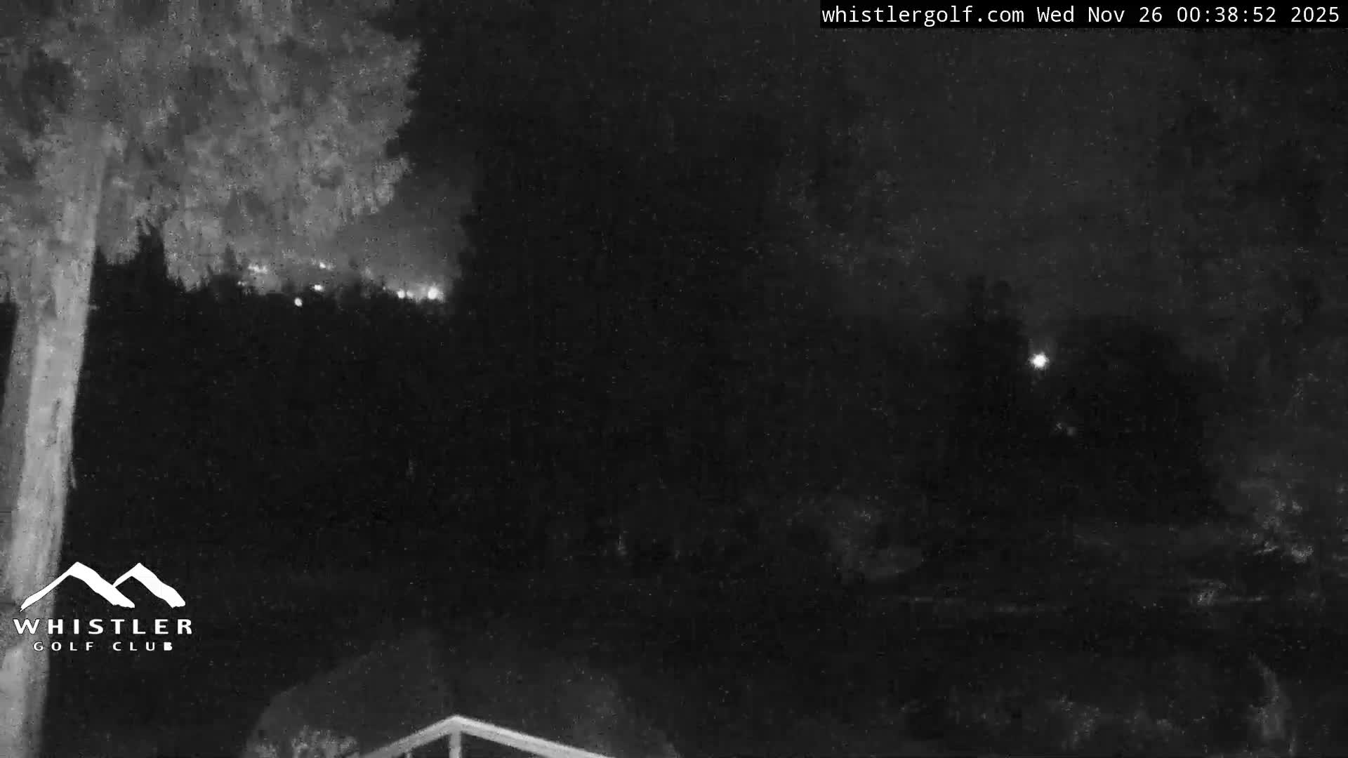 A grainy, monochrome night scene depicts dark trees on the left, a bright light source in the upper right, and faint lights along a distant horizon, under clear or partly cloudy skies.