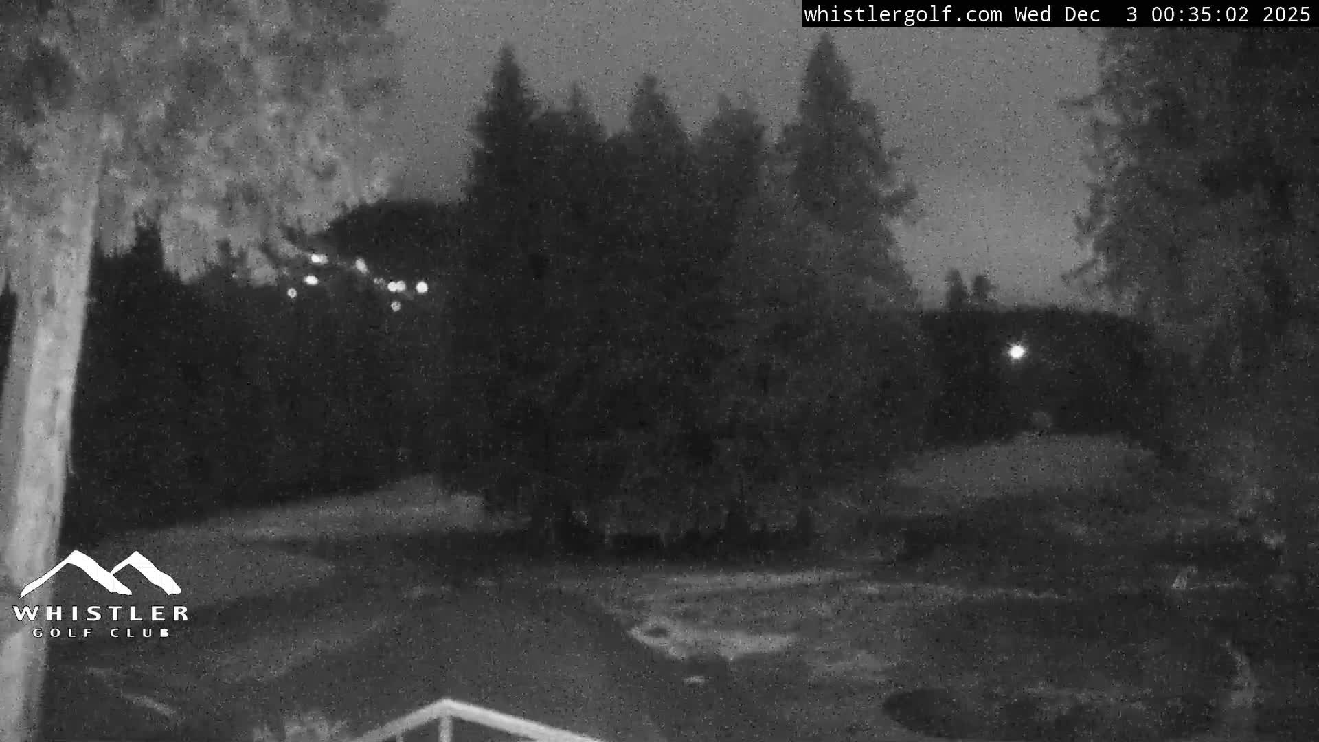 This grainy, black and white image displays a dark outdoor scene at night, featuring trees and distant blurry lights under an overcast sky.