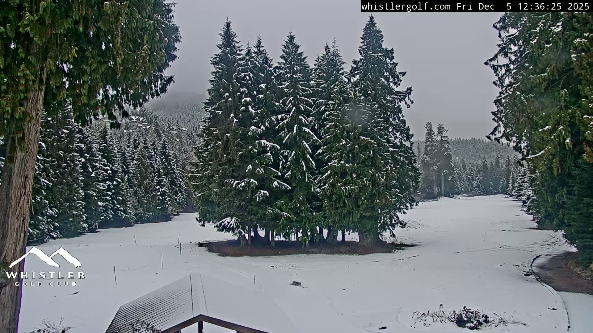 Whistler Golf Club 1st Hole Area Live Cam - Whistler,  Squamish-Lillooet, Sea to Sky Country, British Columbia, Canada