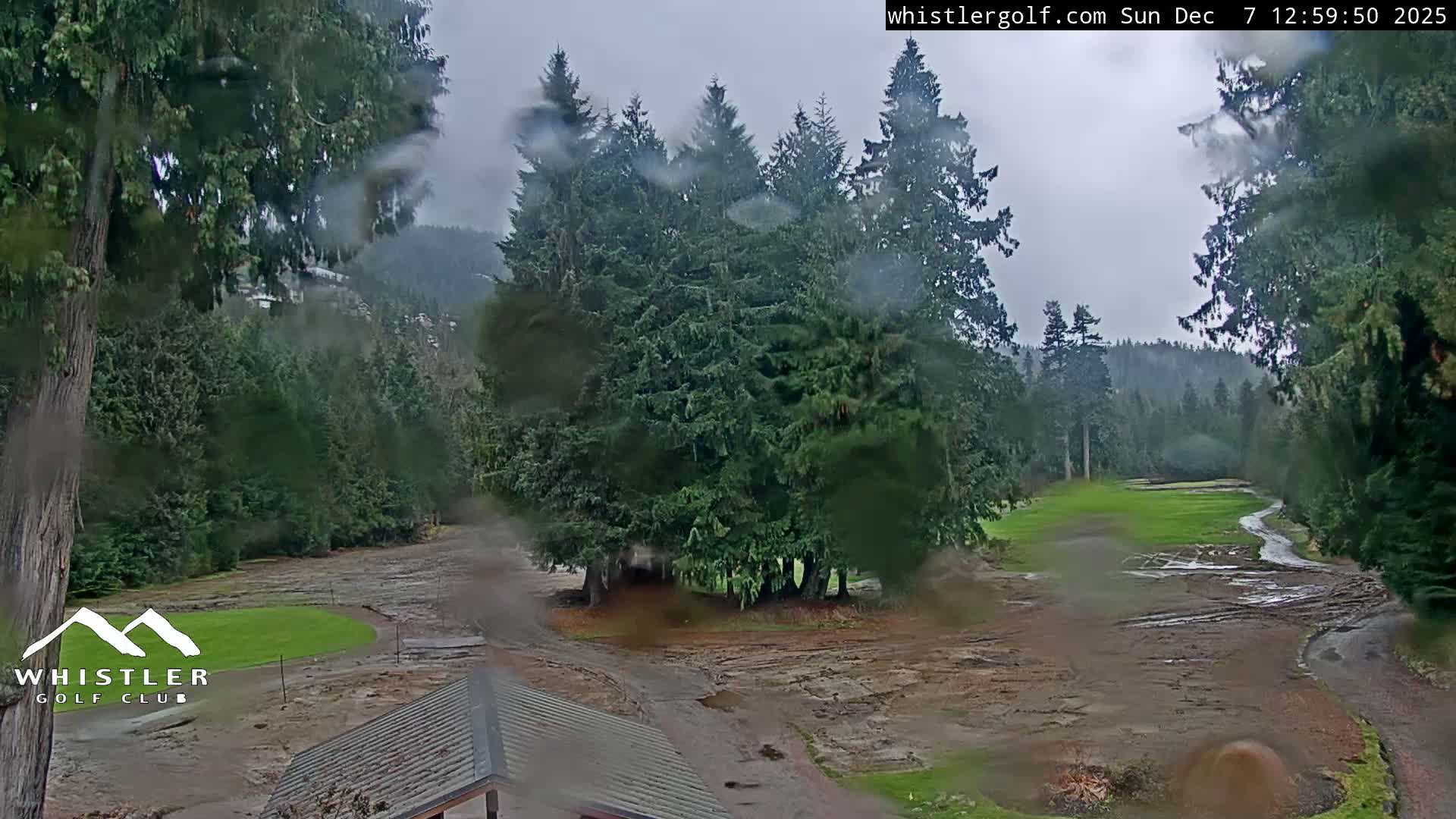 Whistler Golf Club 1st Hole Area Live Cam - Whistler,  Squamish-Lillooet, Sea to Sky Country, British Columbia, Canada