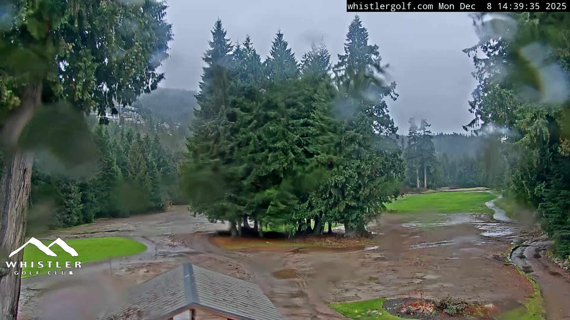 Whistler Golf Club 1st Hole Area Live Cam - Whistler,  Squamish-Lillooet, Sea to Sky Country, British Columbia, Canada