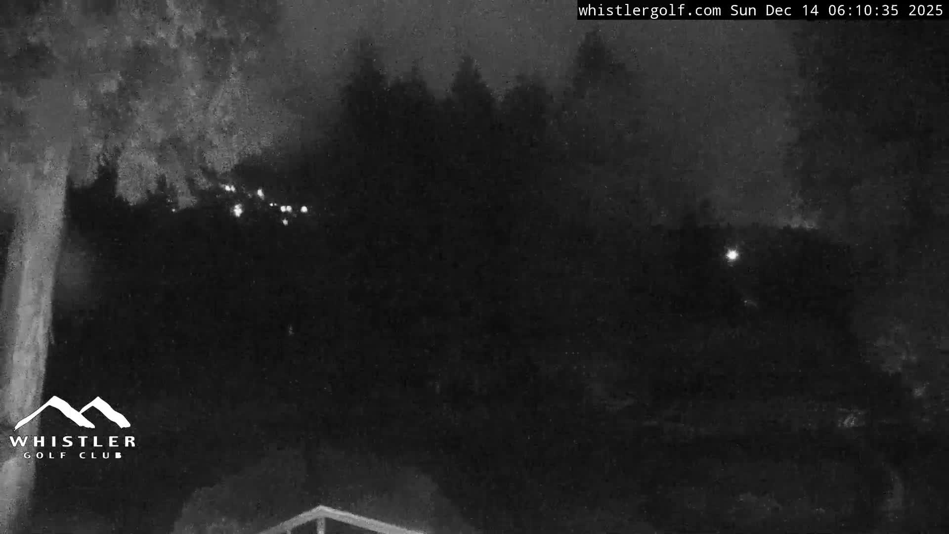 This grainy, black and white image displays a dark outdoor scene at night, featuring trees and distant blurry lights under an overcast sky.