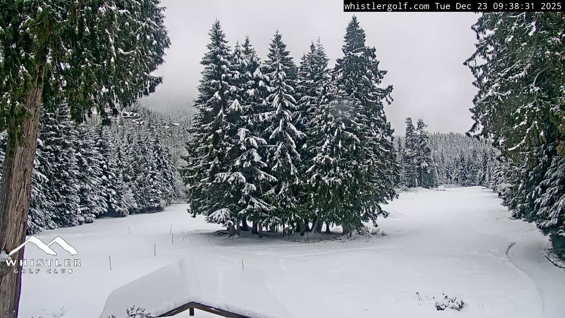 Whistler Golf Club 1st Hole Area Live Cam - Whistler,  Squamish-Lillooet, Sea to Sky Country, British Columbia, Canada