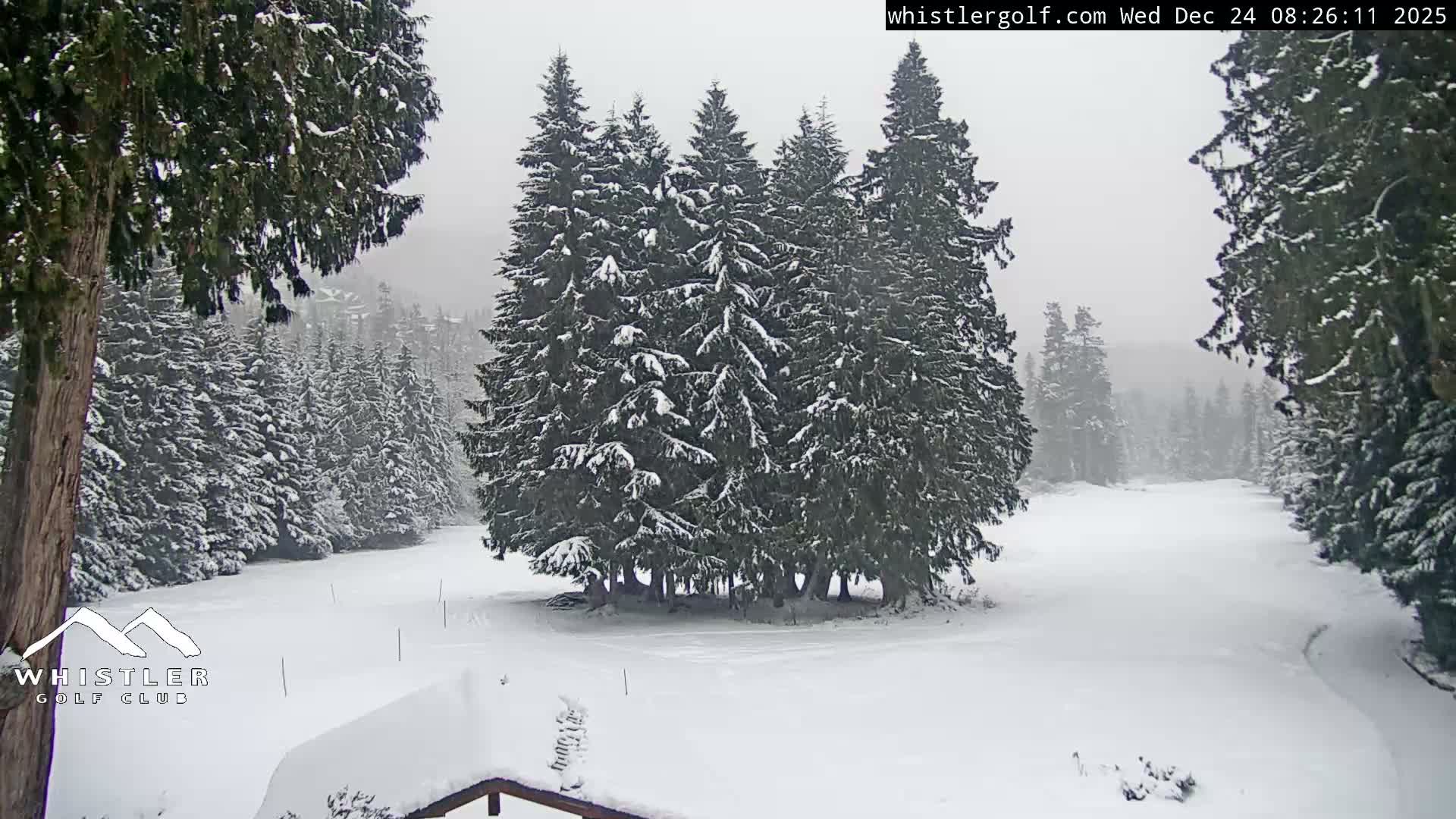 Whistler Golf Club 1st Hole Area Live Cam - Whistler,  Squamish-Lillooet, Sea to Sky Country, British Columbia, Canada