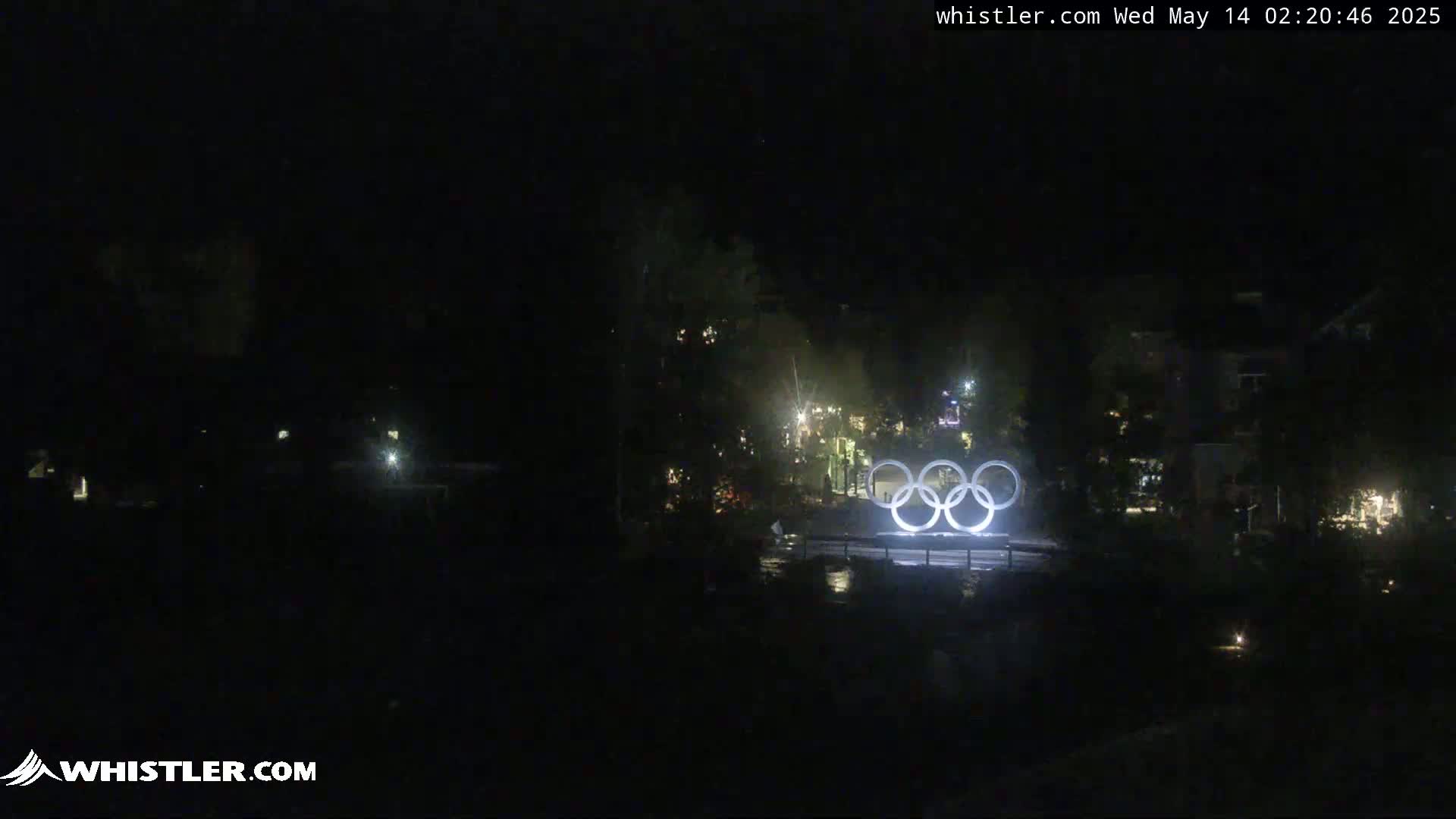 A nighttime view of the Olympic rings illuminated against a dark background of trees and buildings.