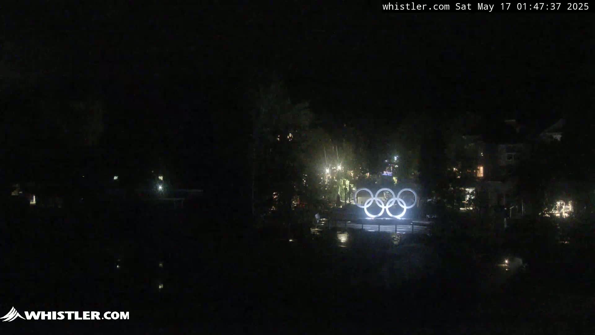 Illuminated Olympic rings are visible at night near a dark body of water and dimly lit buildings.