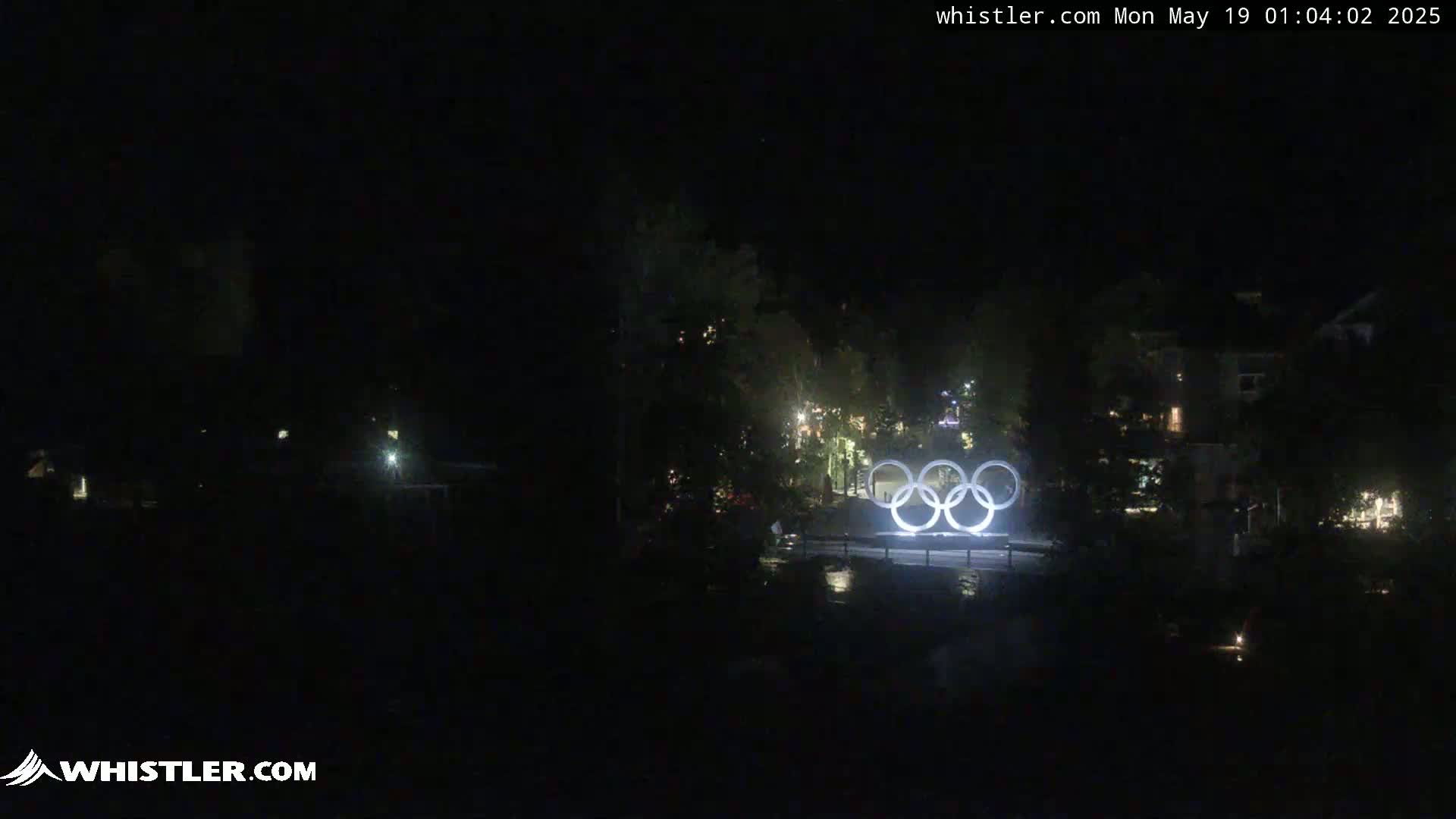 At night, illuminated Olympic rings are visible in the center of a dark, tree-lined area with some distant lights.