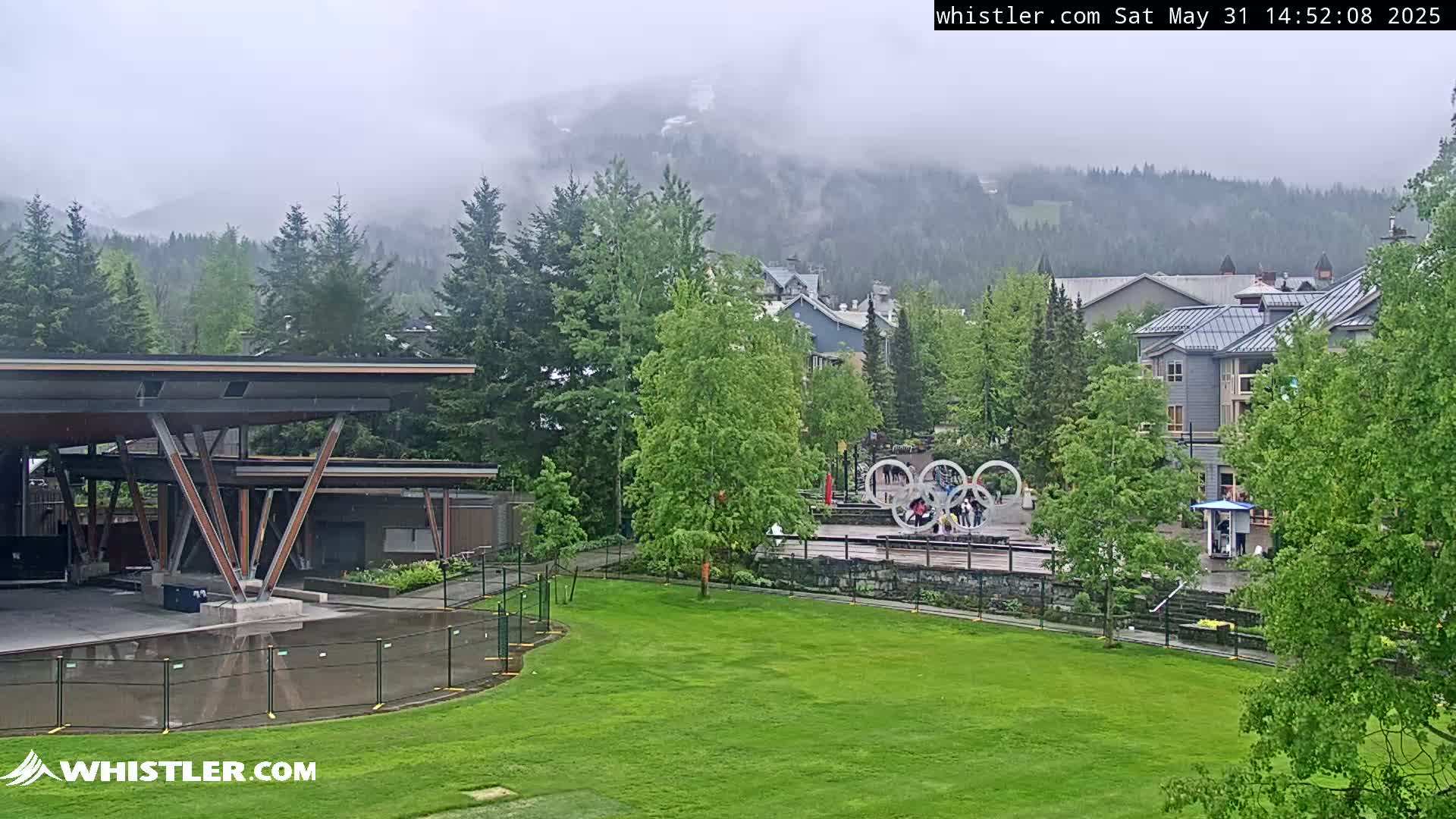 A rain-soaked grassy field sits before a village nestled amongst evergreen trees and misty mountains.