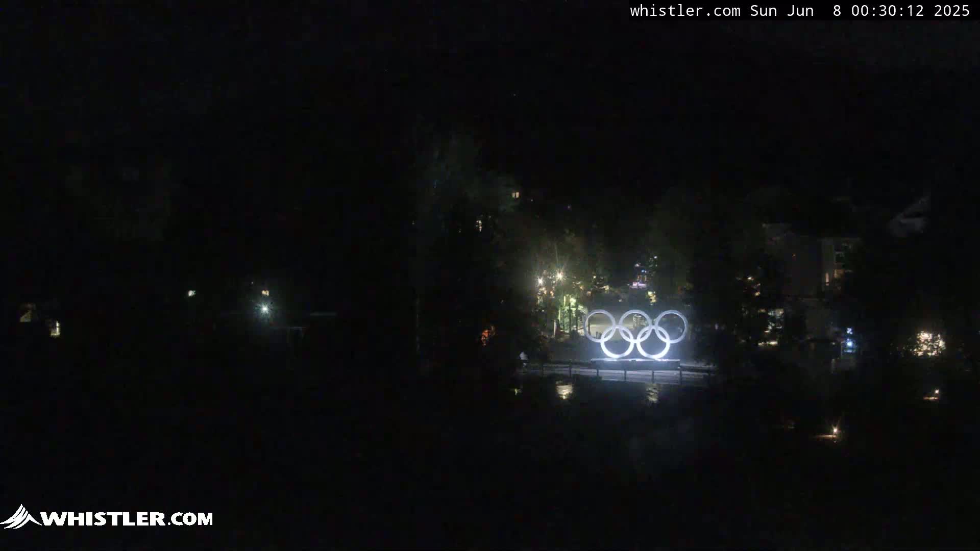 At night, the Olympic rings are illuminated in front of a dark, tree-lined area with some distant lights.