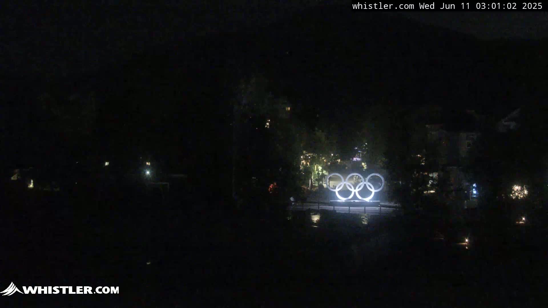 A nighttime long shot shows illuminated Olympic rings situated in a dark, wooded area near a body of water.