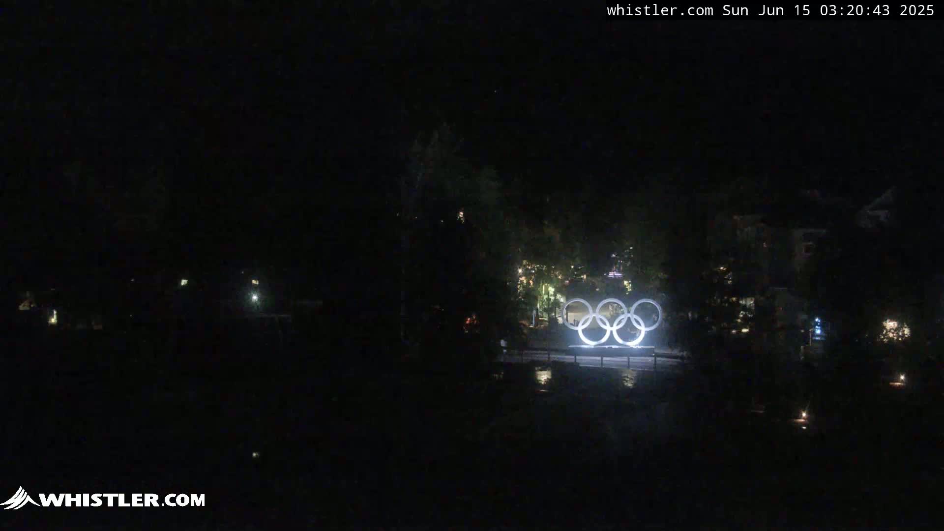 At night, illuminated Olympic rings stand in a dark, wooded area near a body of water.